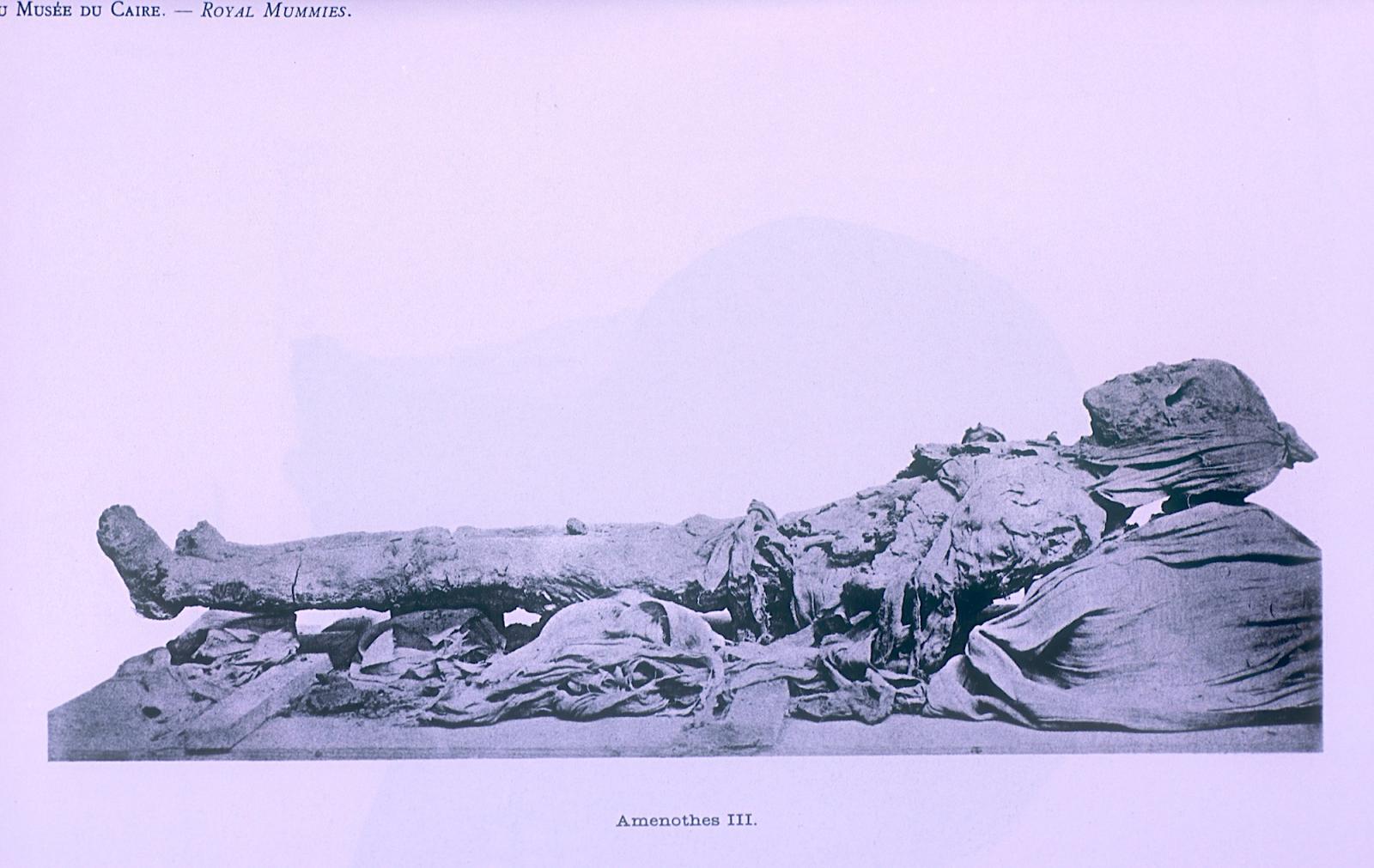 Mummy of Amenhetep III.