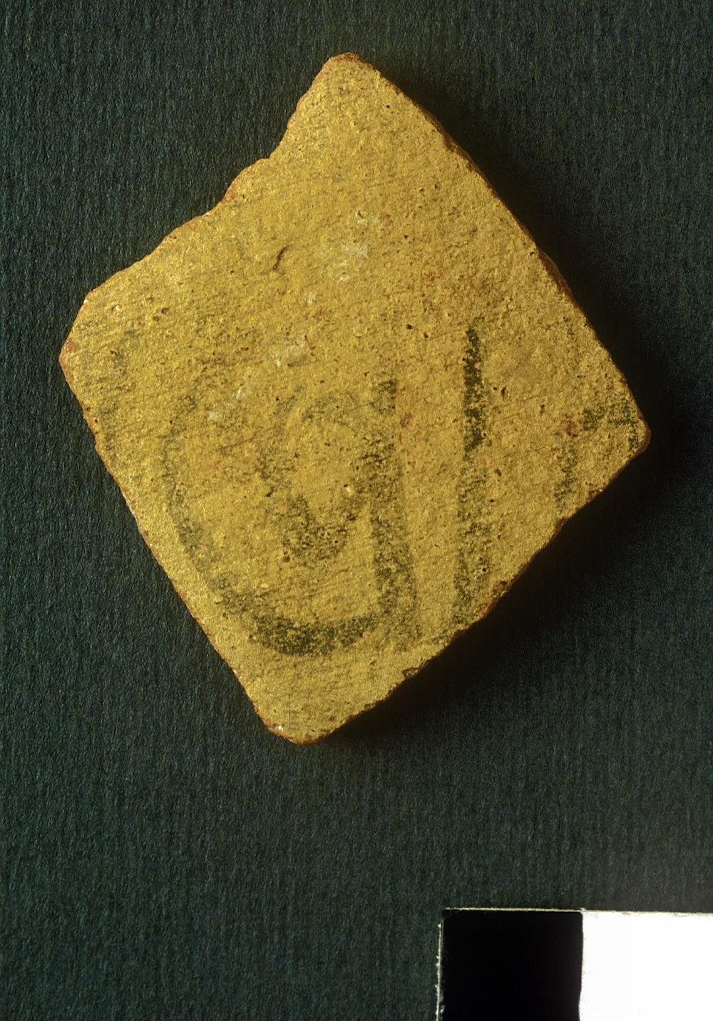 11690.jpg