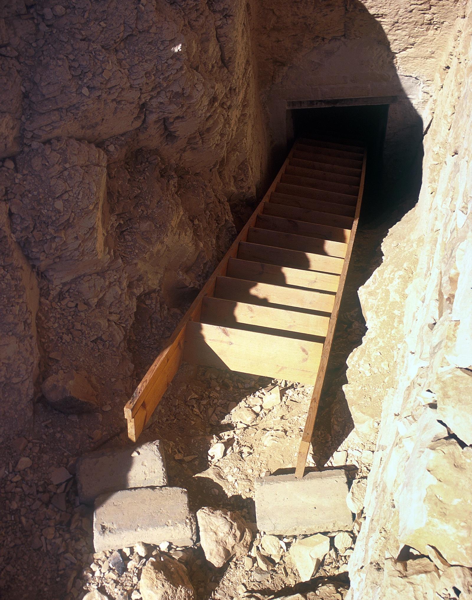 13544.jpg