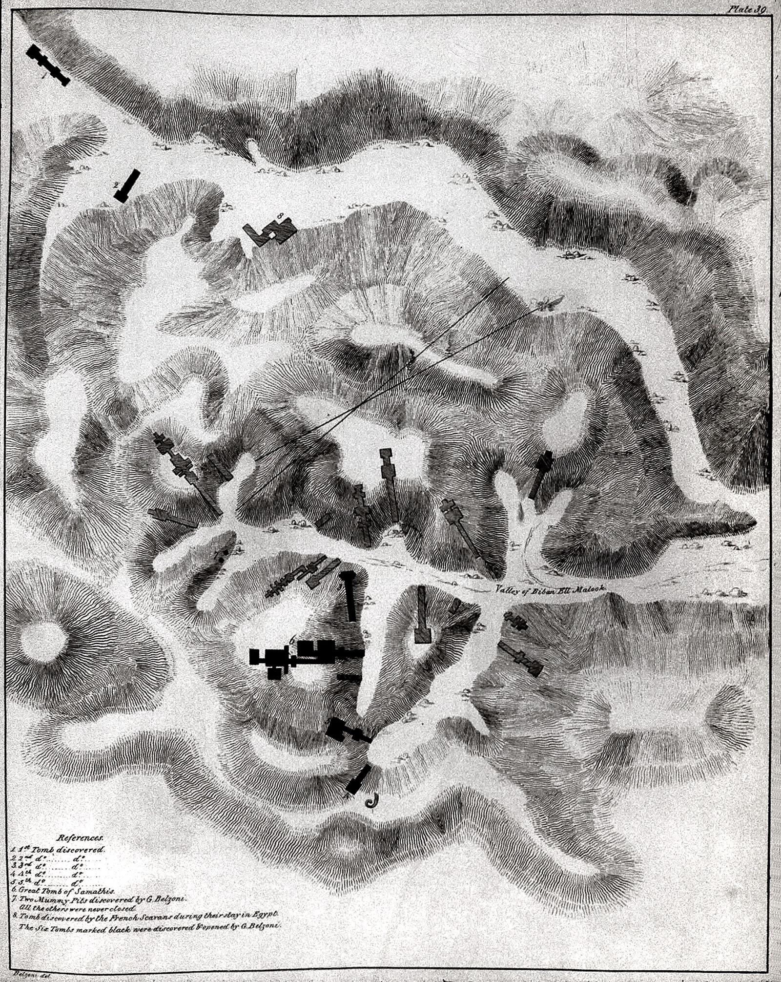 14294.jpg