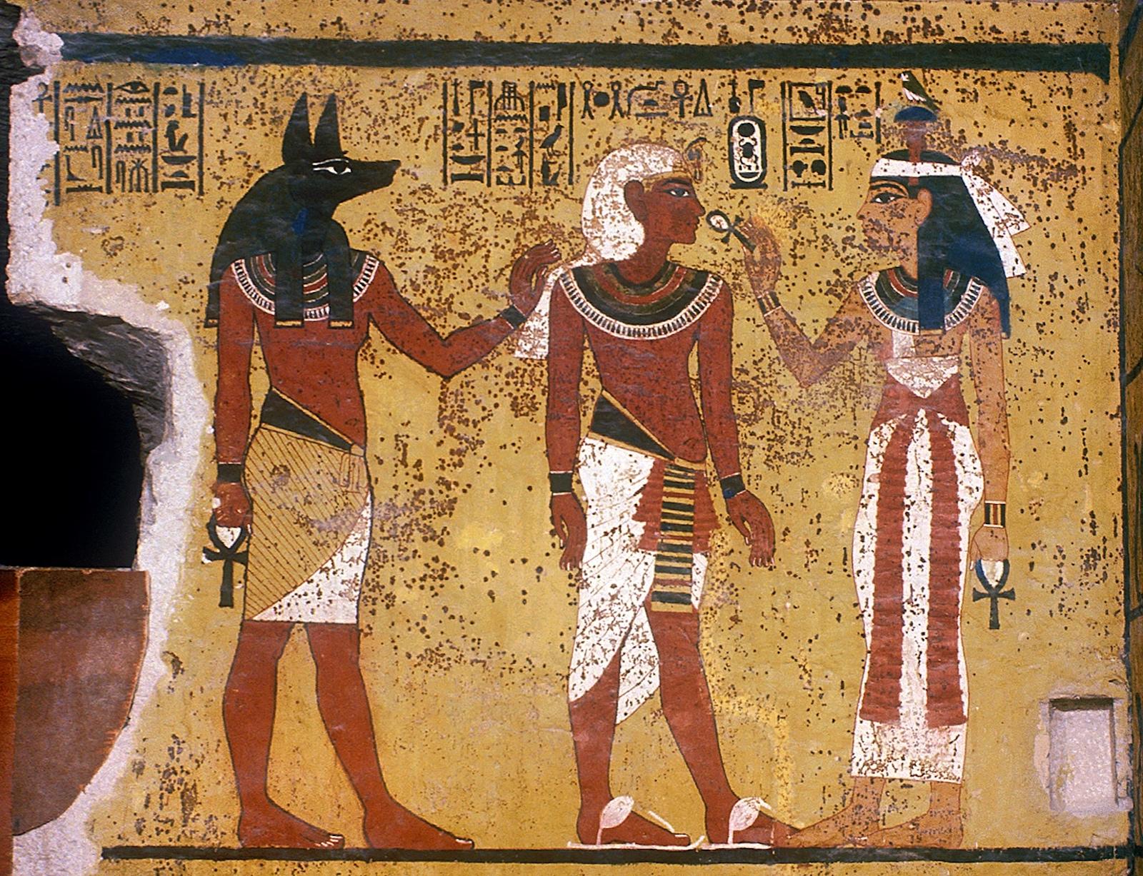 14896.jpg