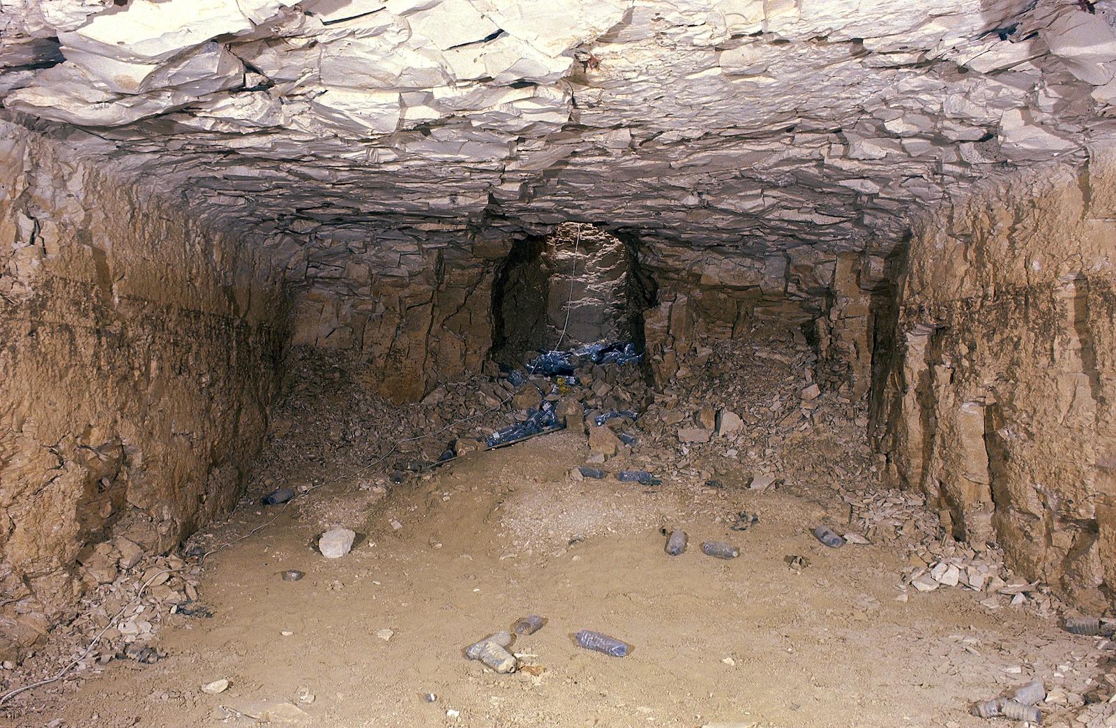 14902.jpg