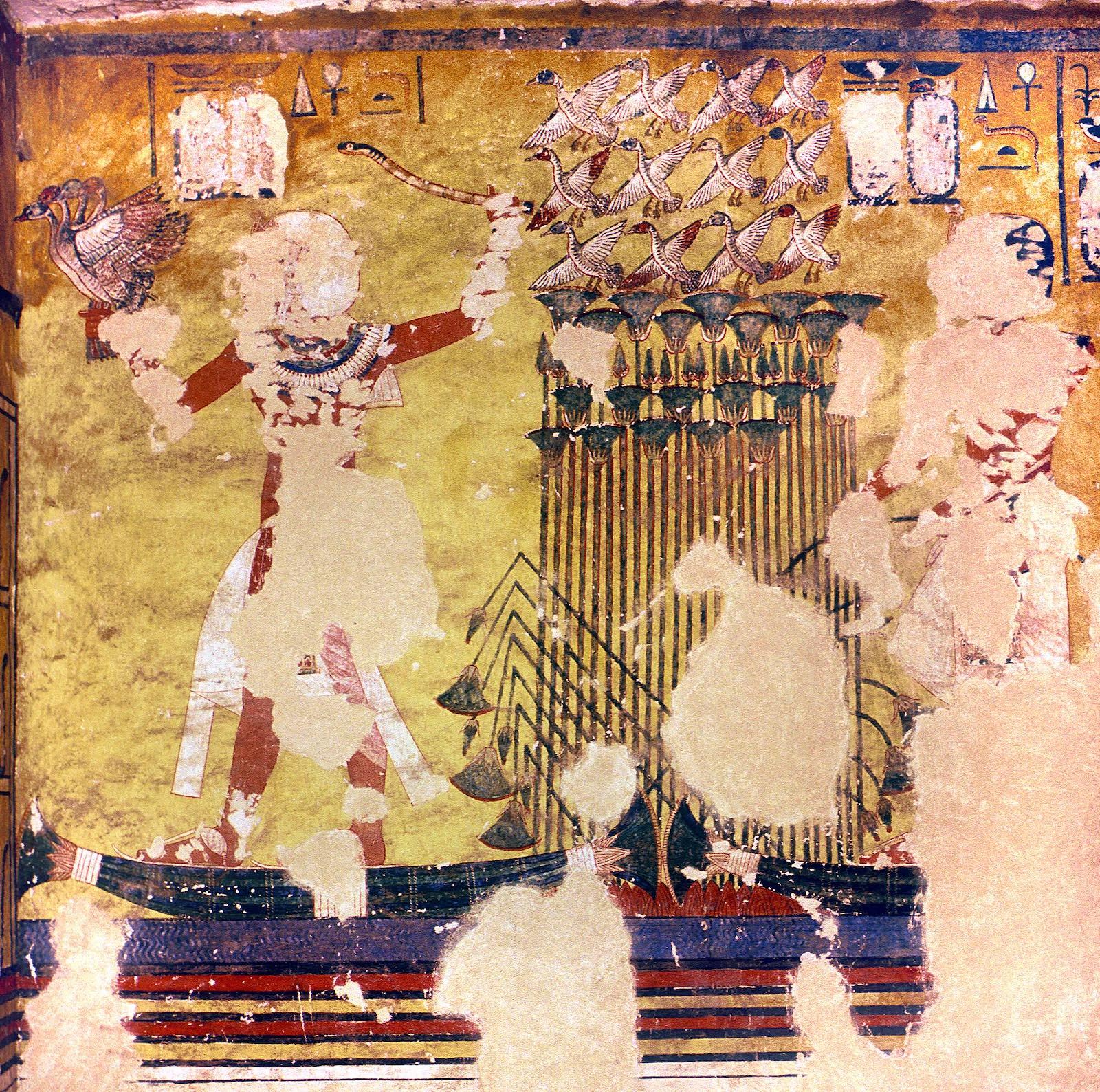 15263.jpg