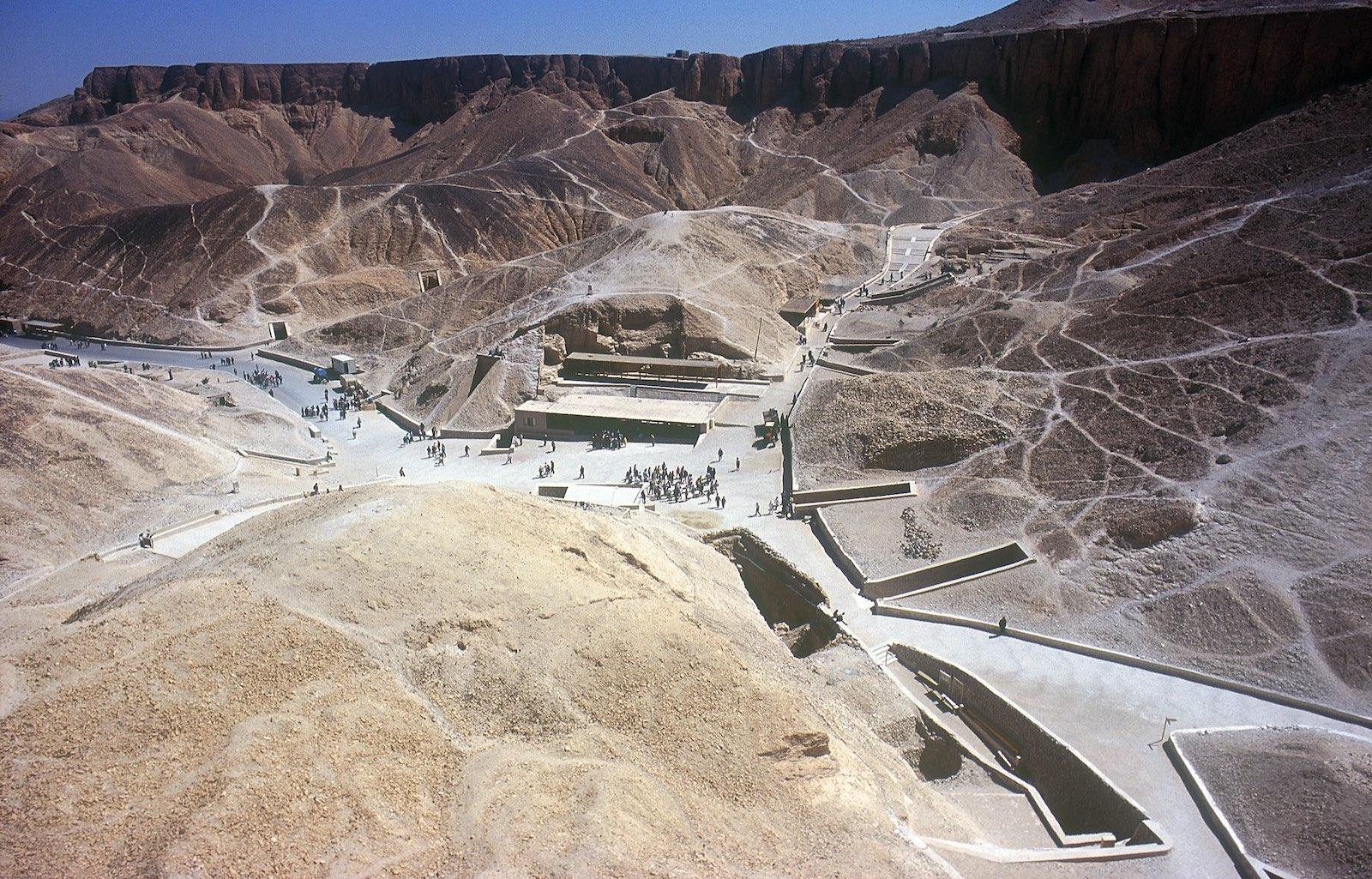 15317.jpg