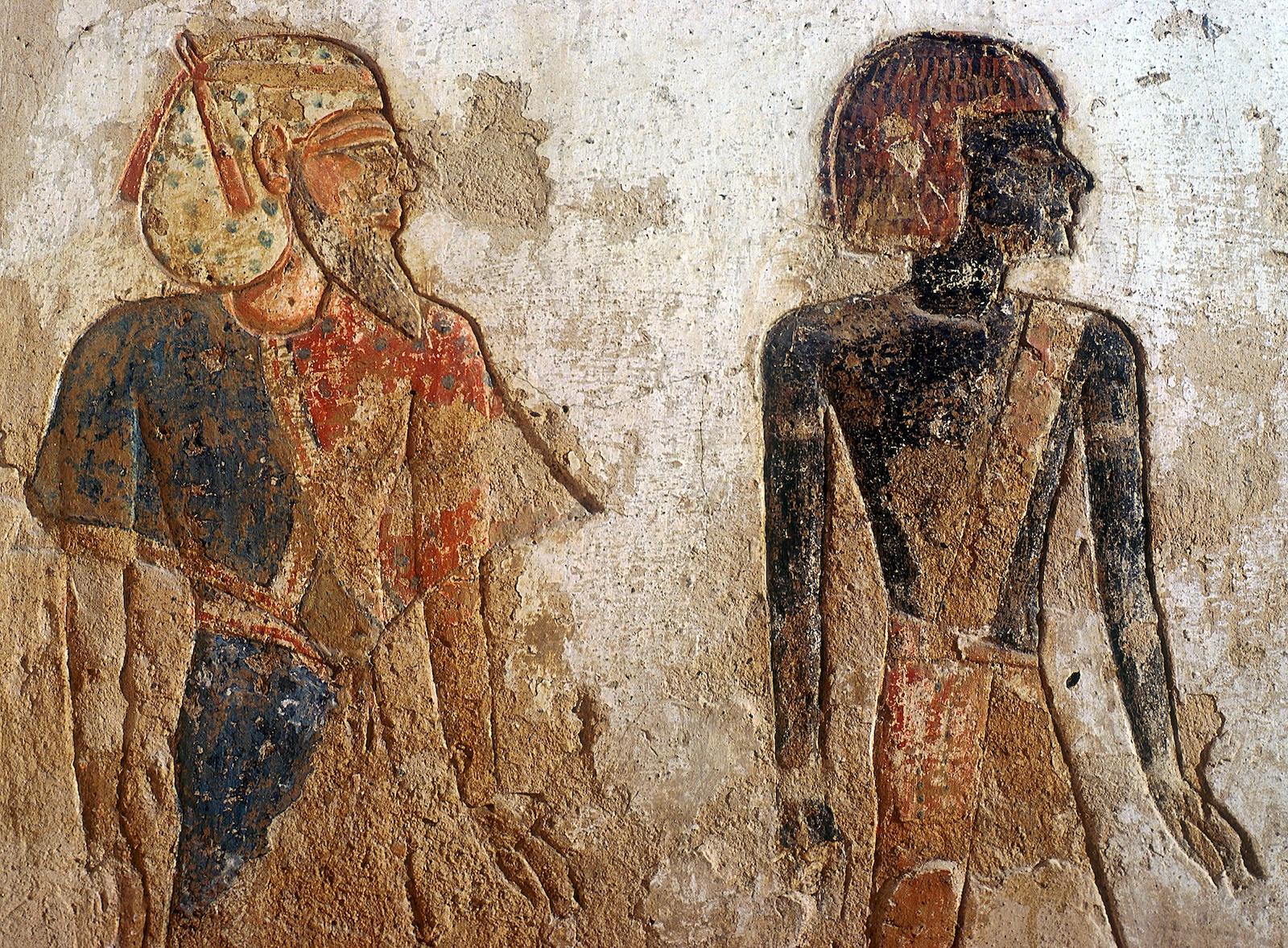 15447.jpg