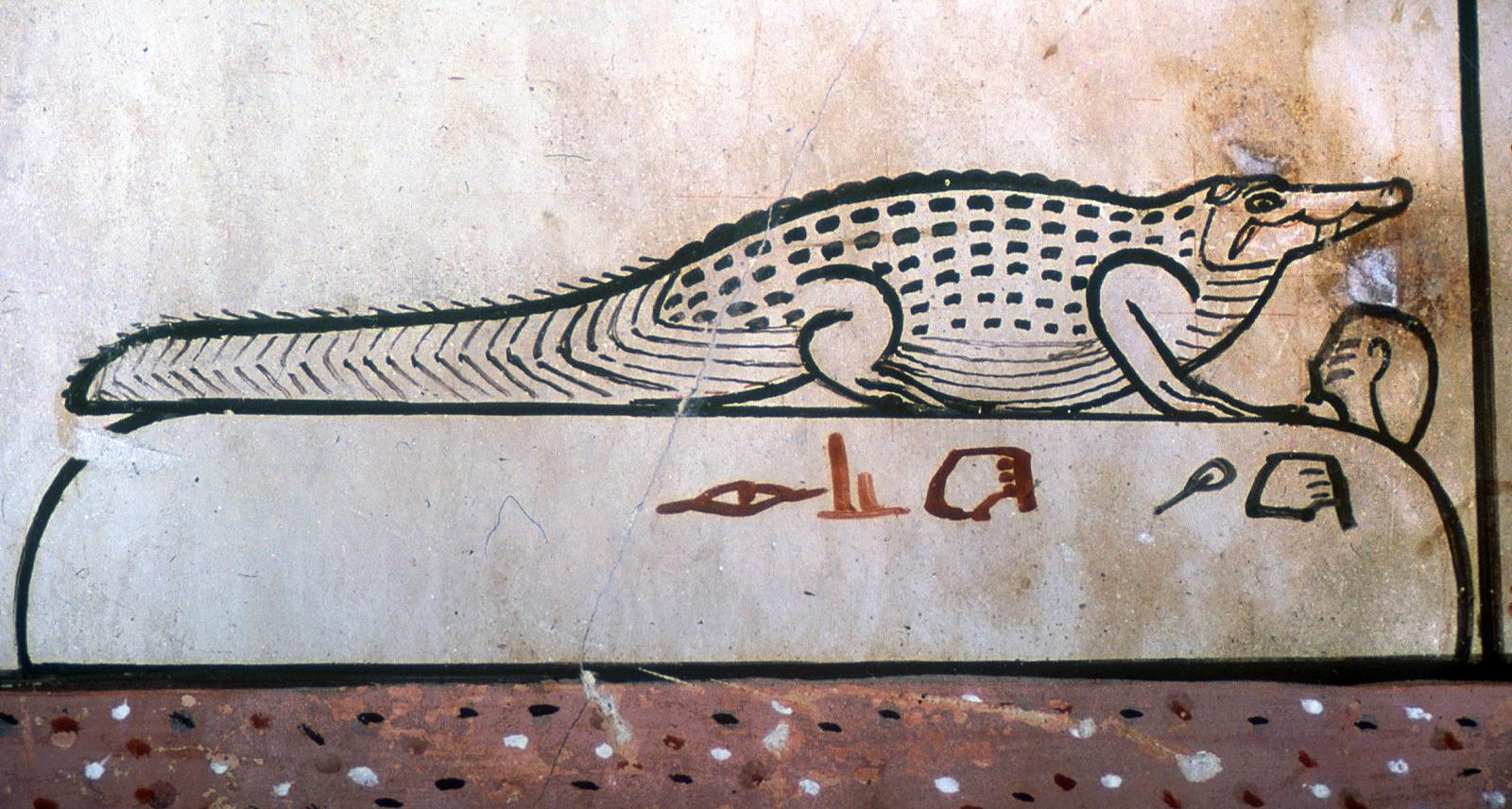 16946.jpg