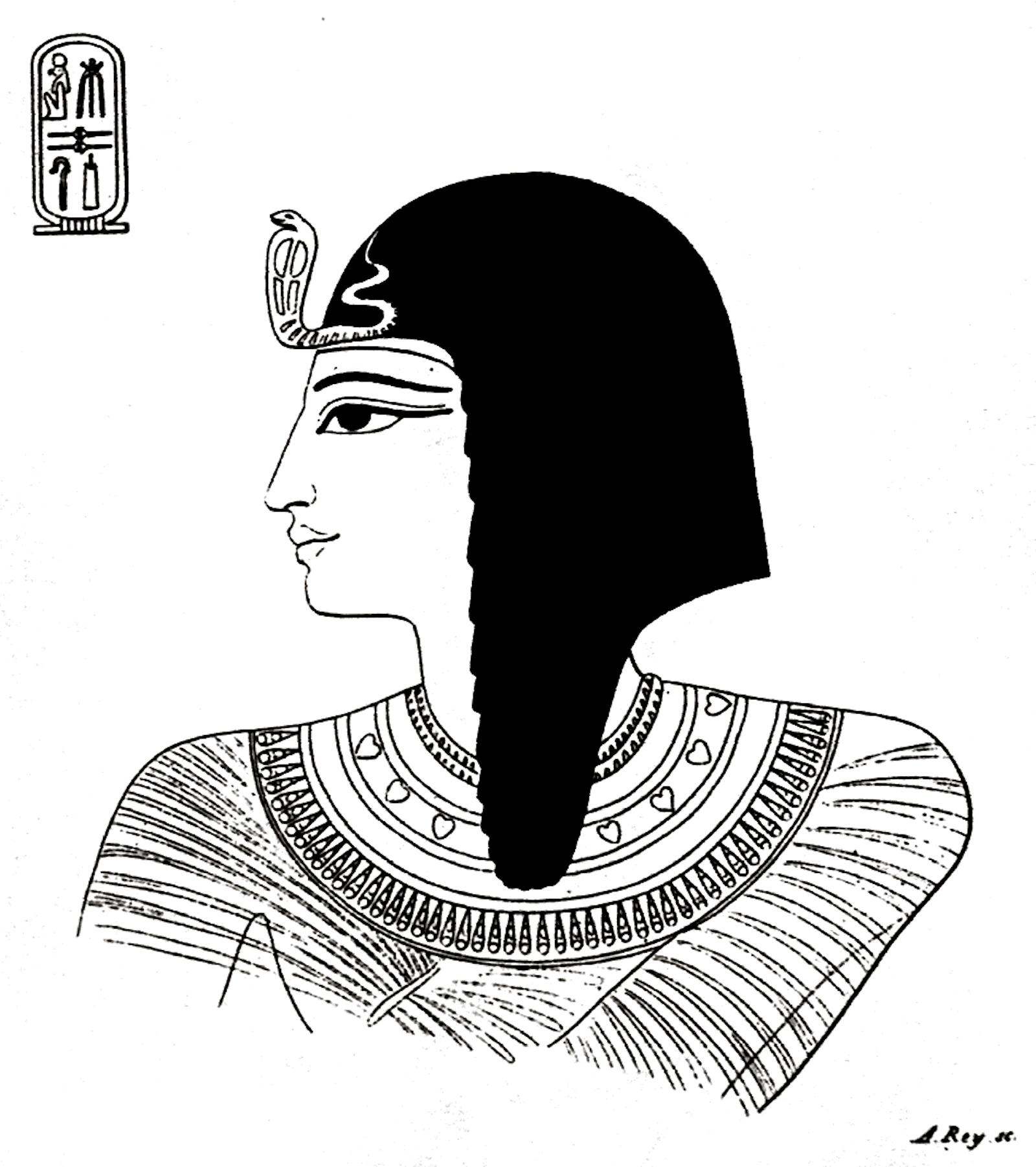 17398.jpg