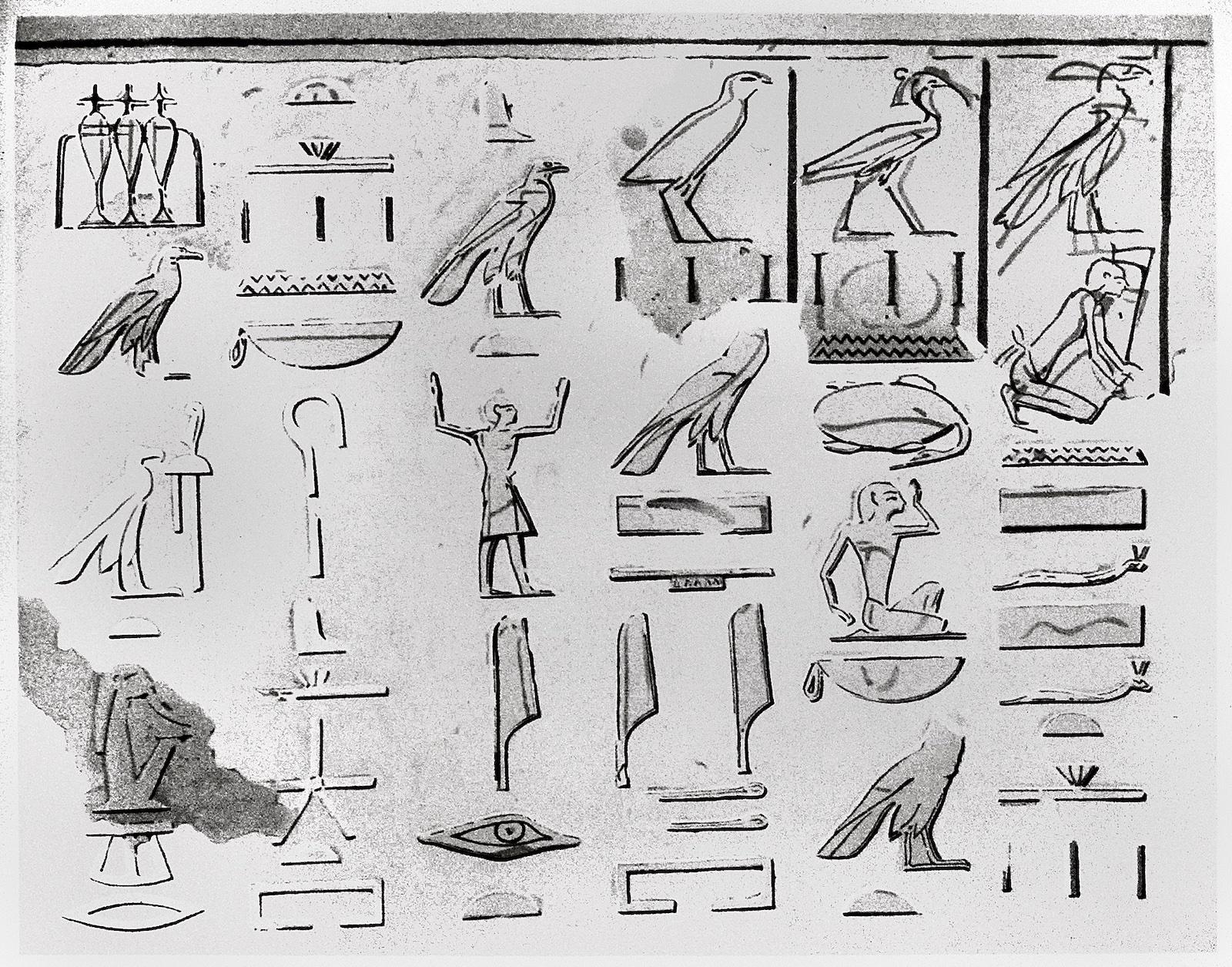 12620.jpg