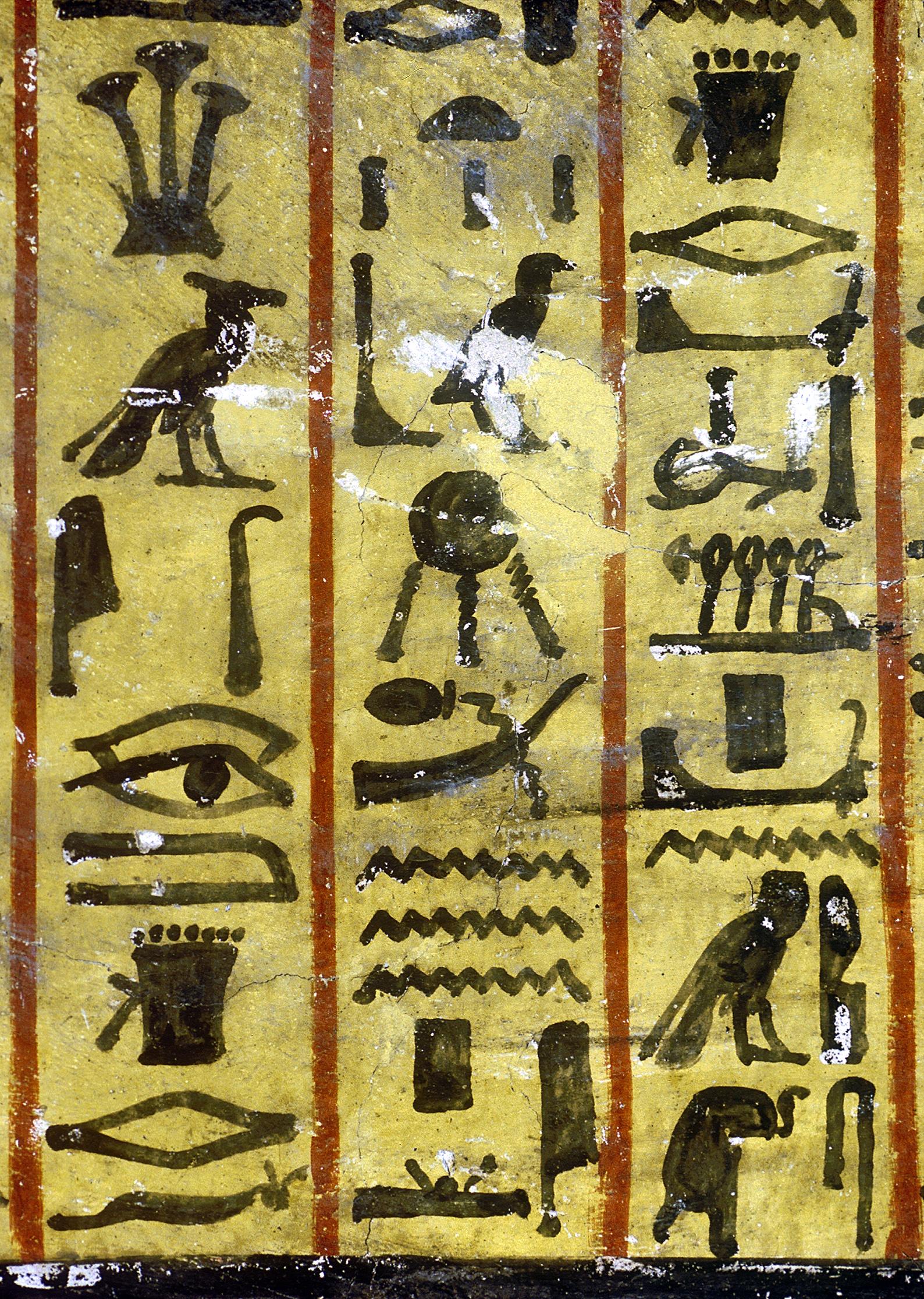 14167.jpg