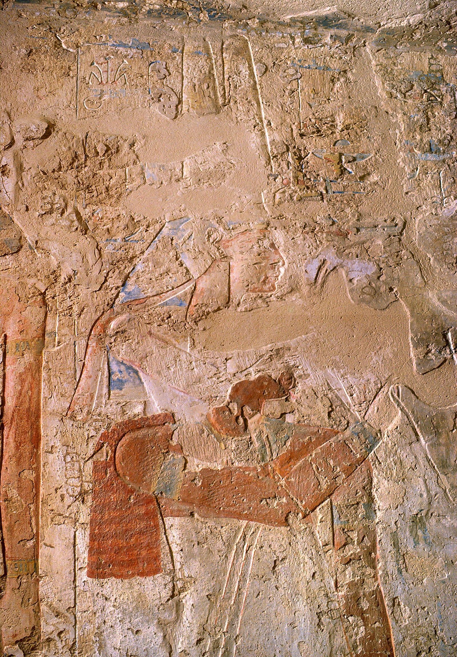 14694.jpg