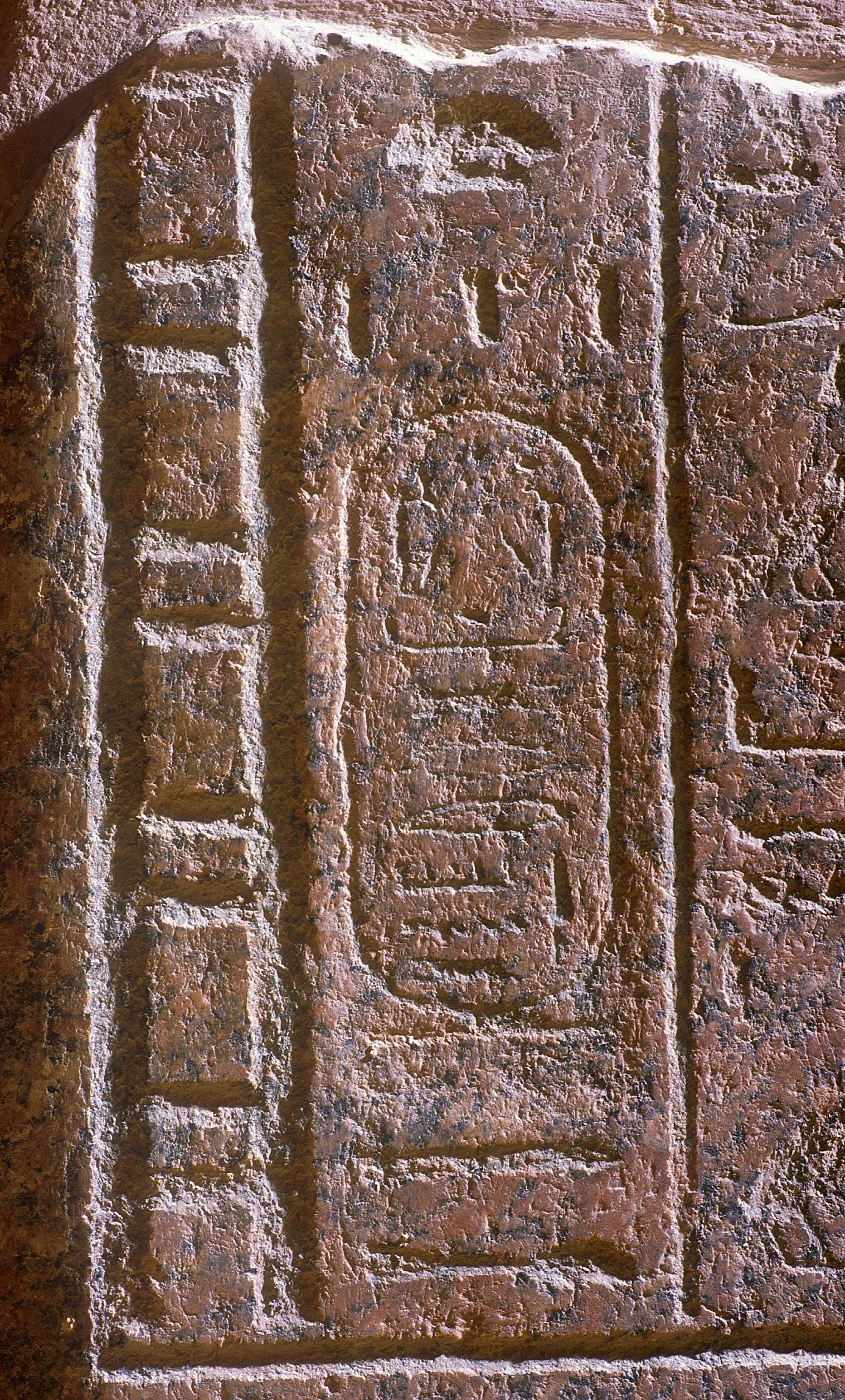 14695.jpg