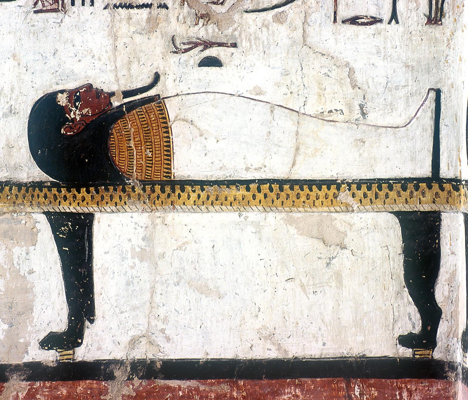 15495.jpg