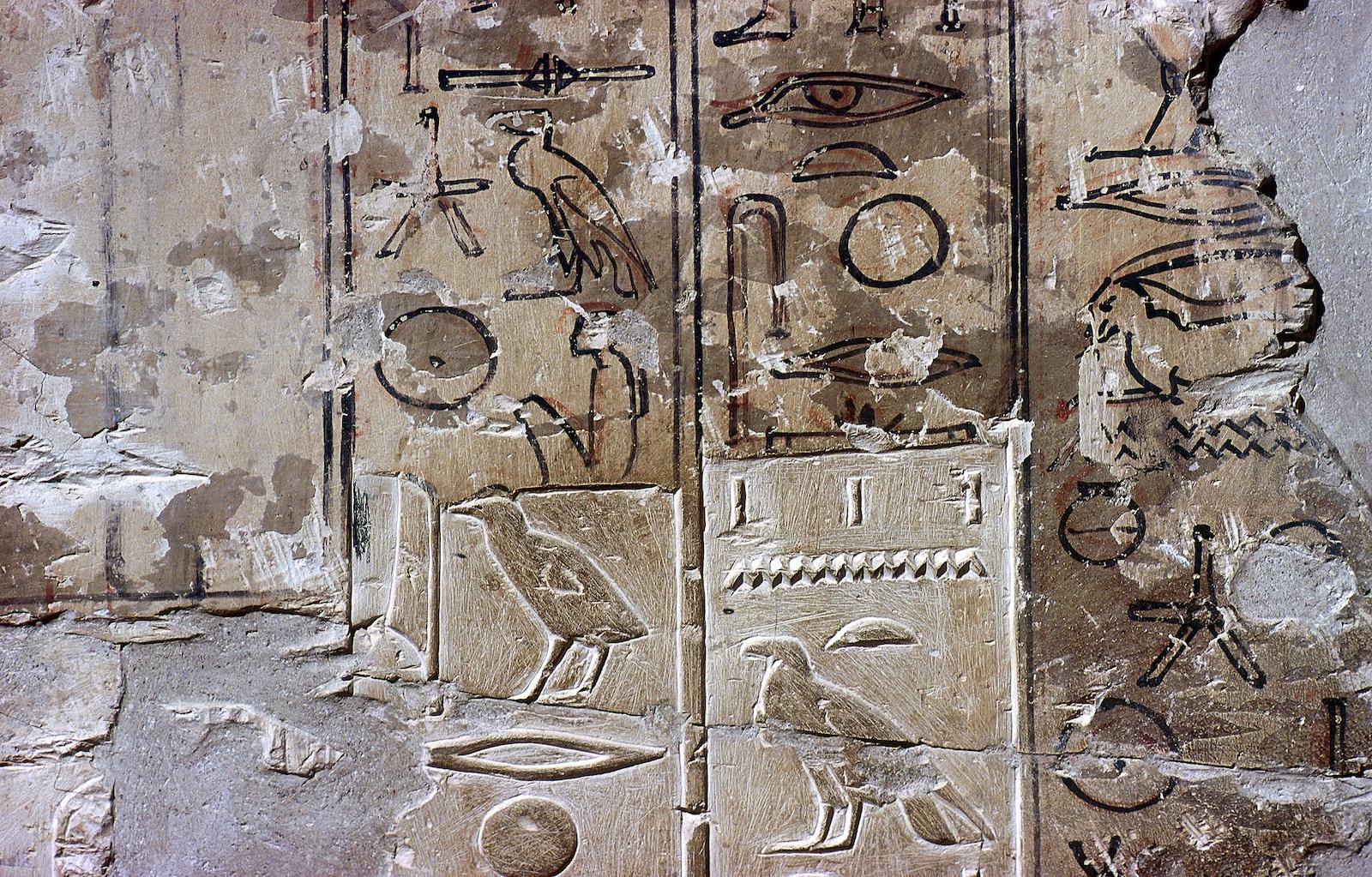 15499.jpg