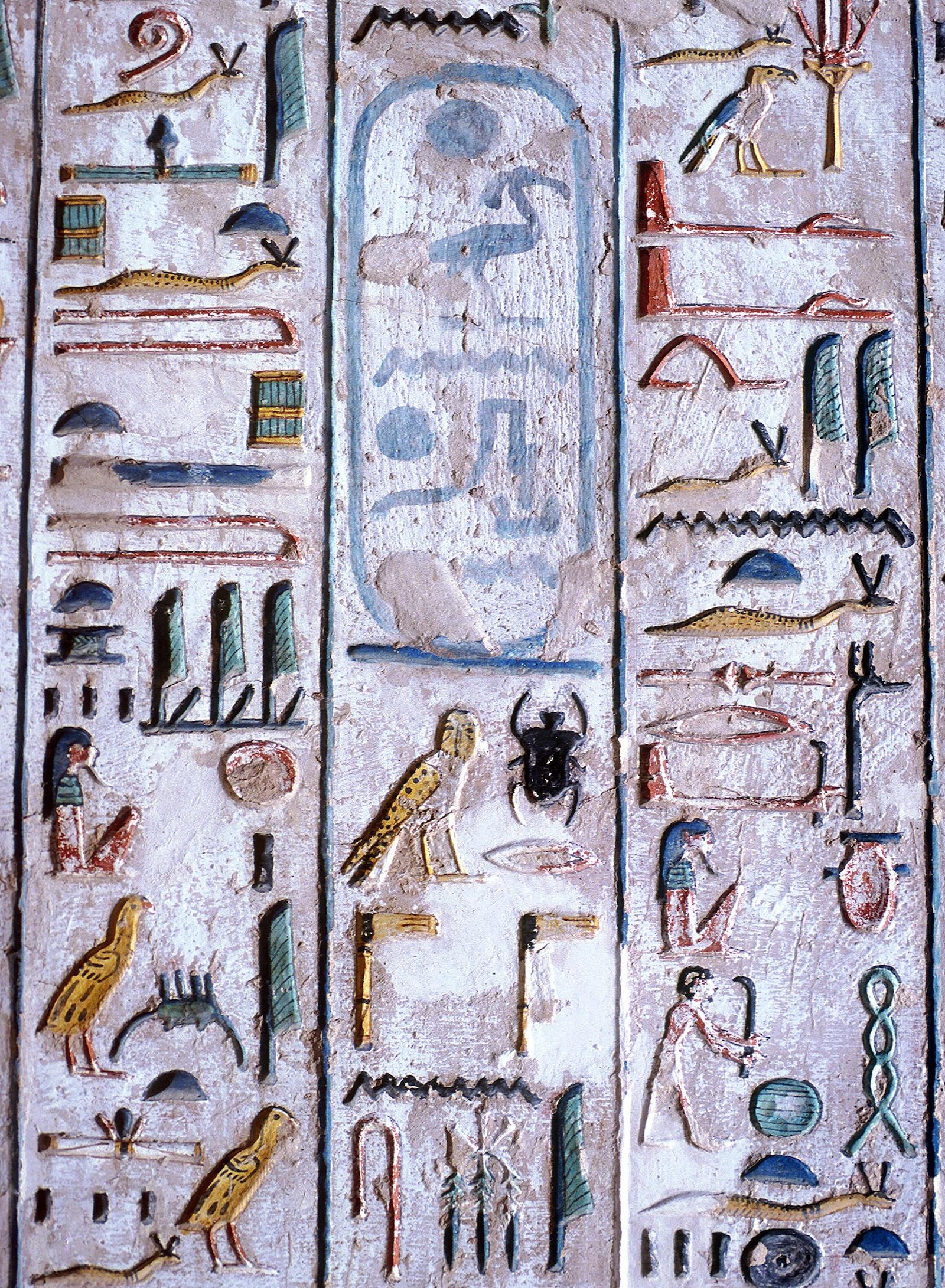 16154.jpg
