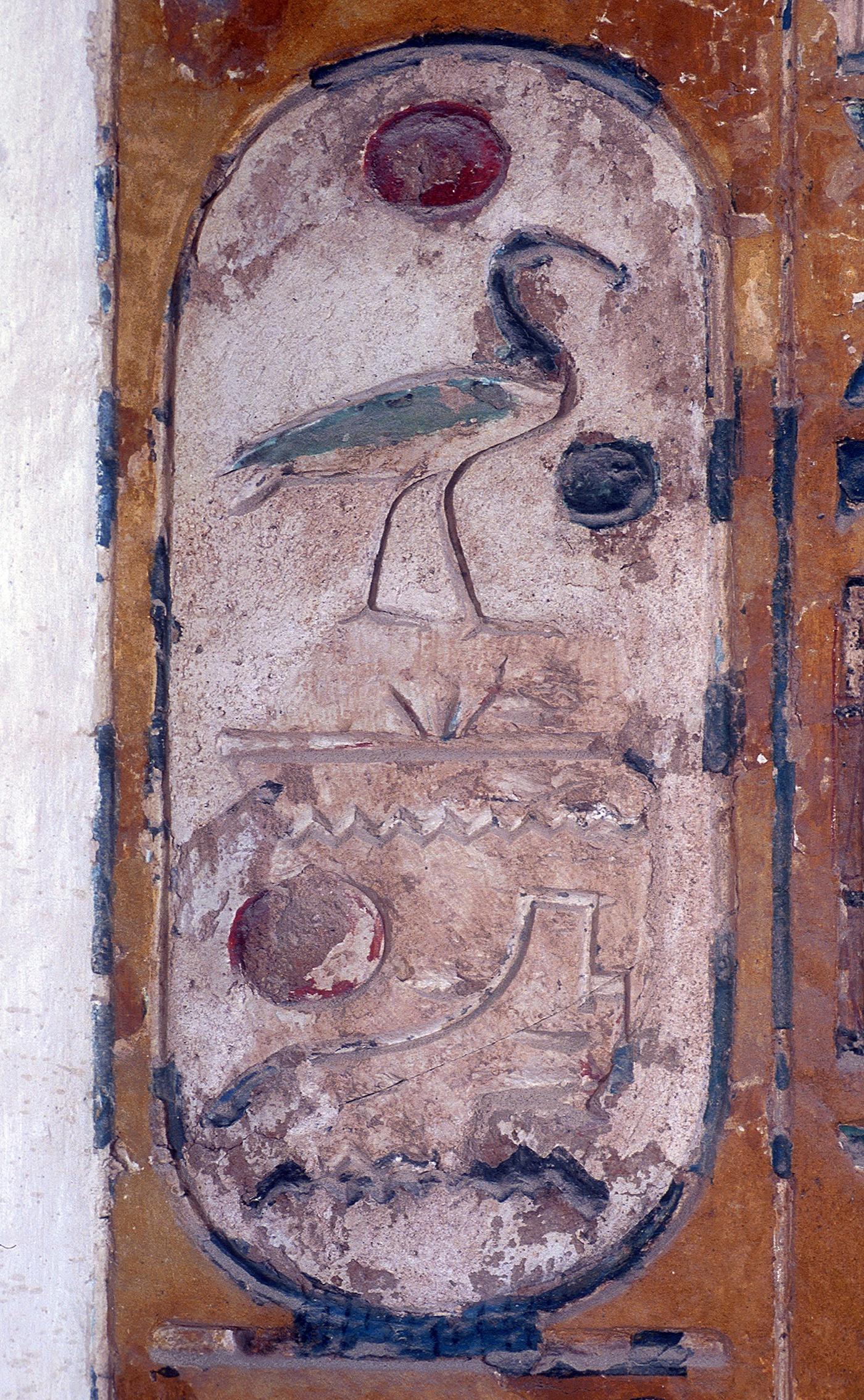 16156.jpg