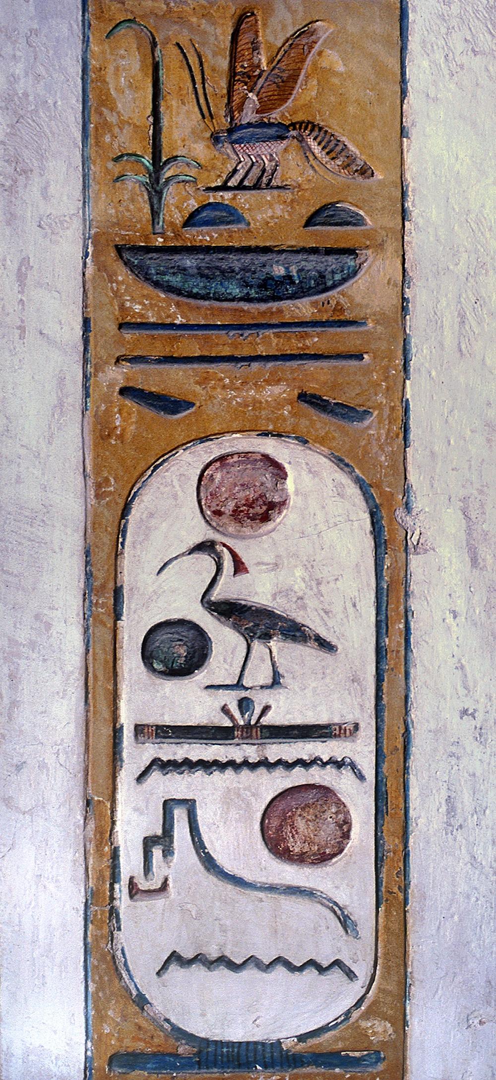 16157.jpg