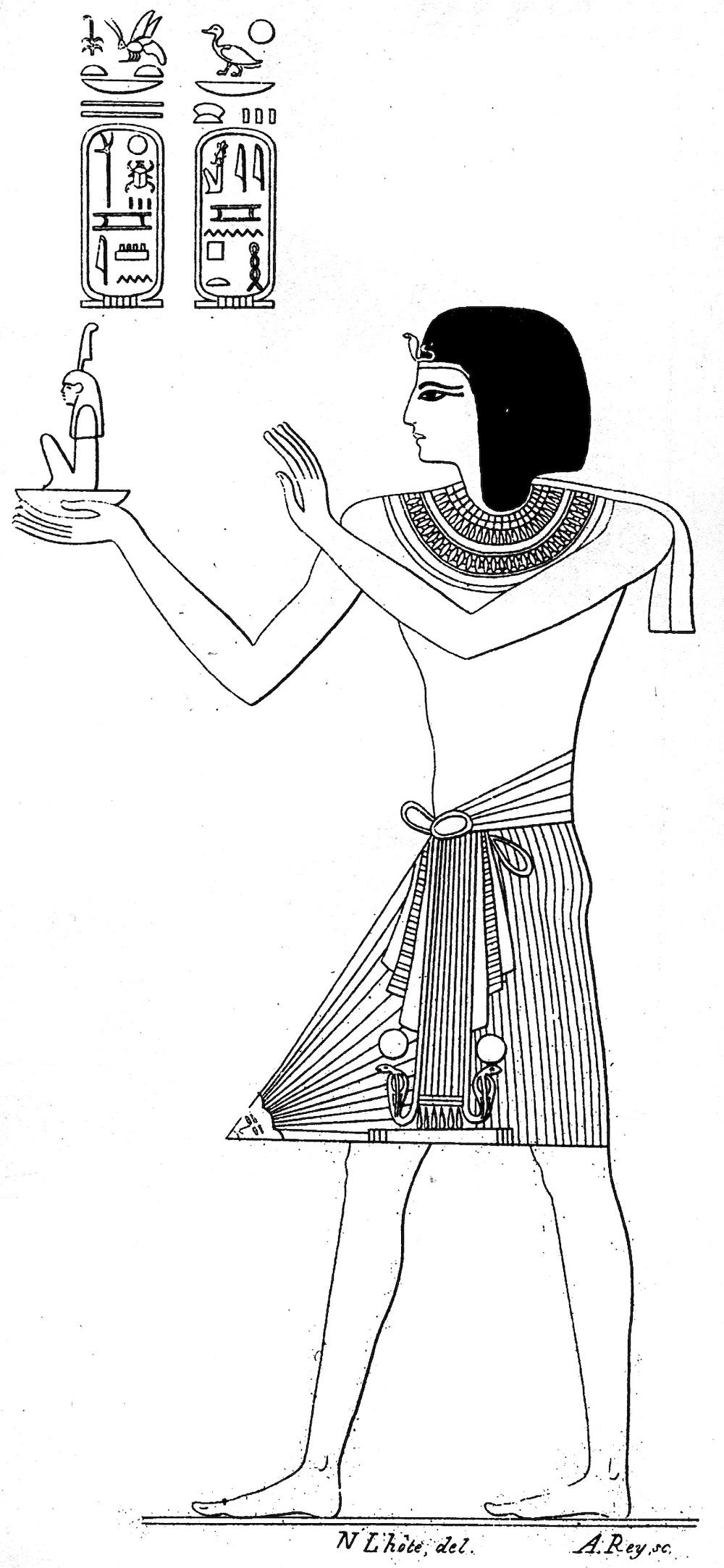 16446.jpg