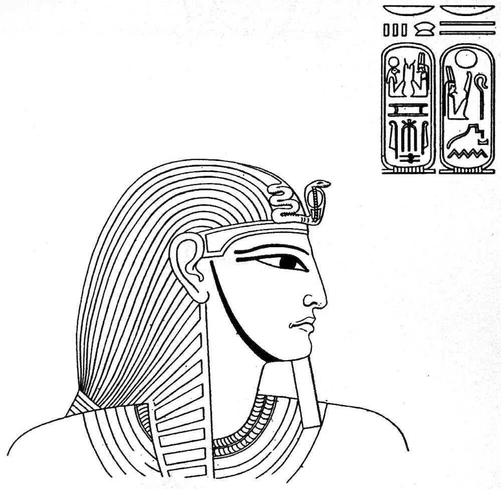 16750.jpg