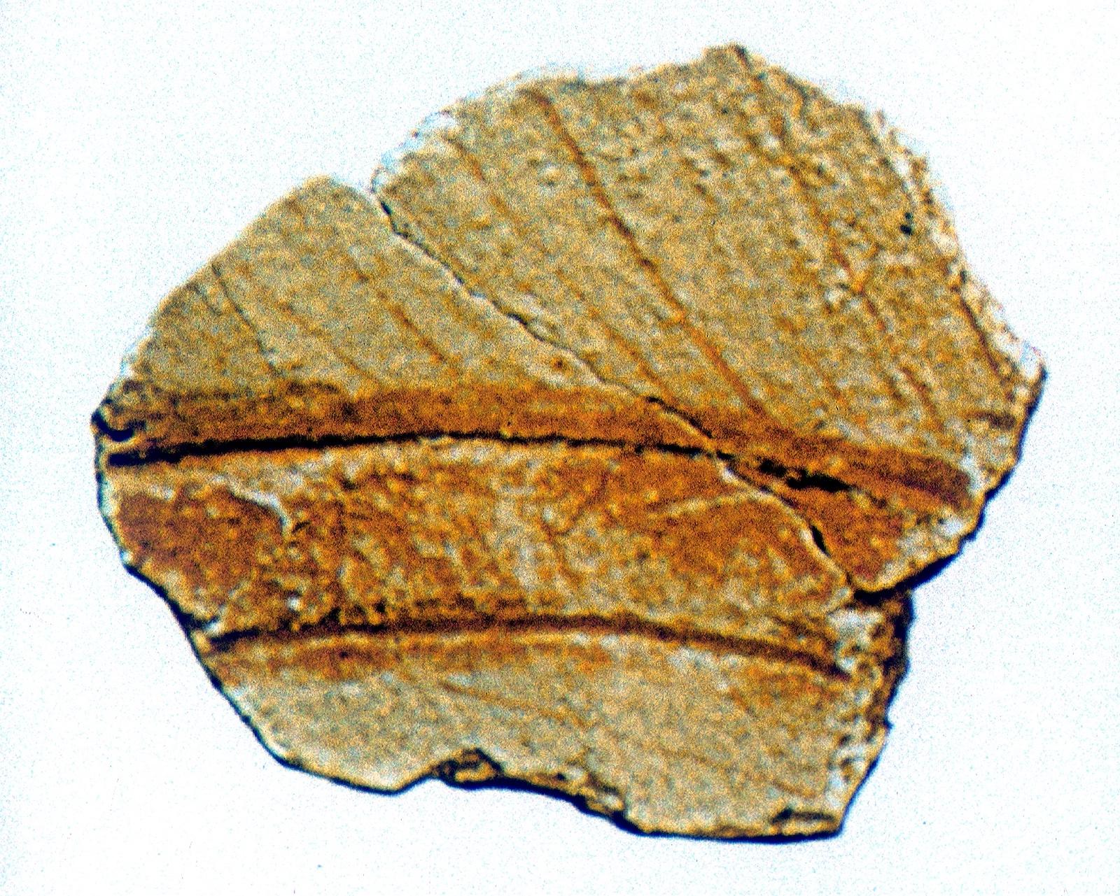 16948.jpg