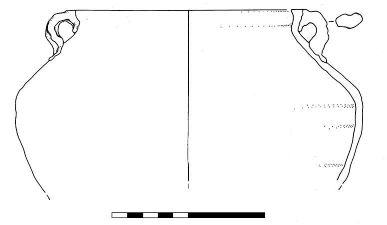 17064.jpg