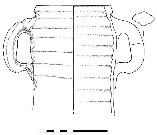 17066.jpg