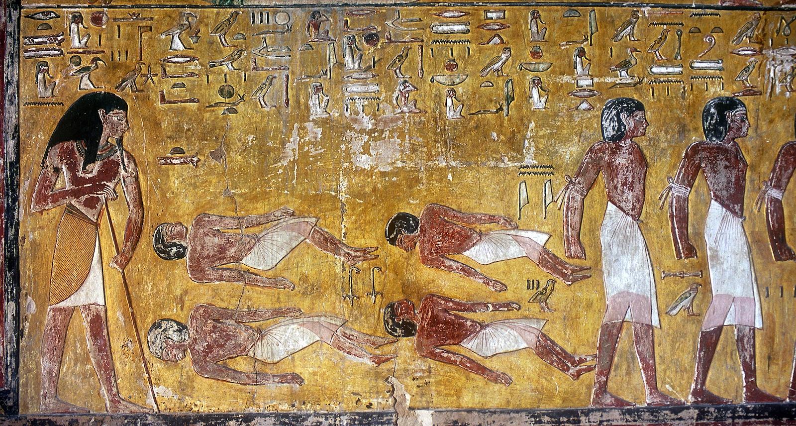 16206.jpg