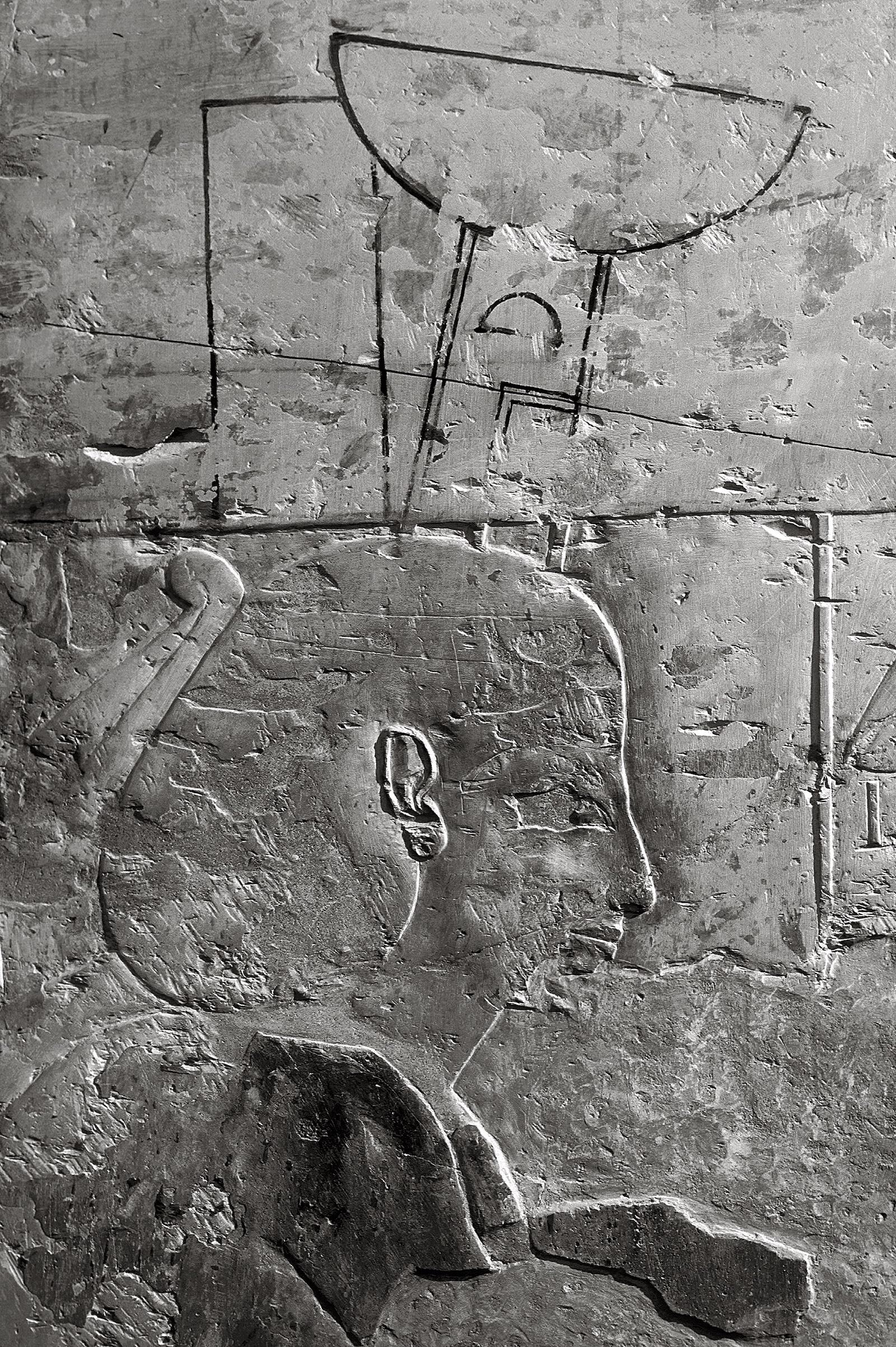 16241.jpg