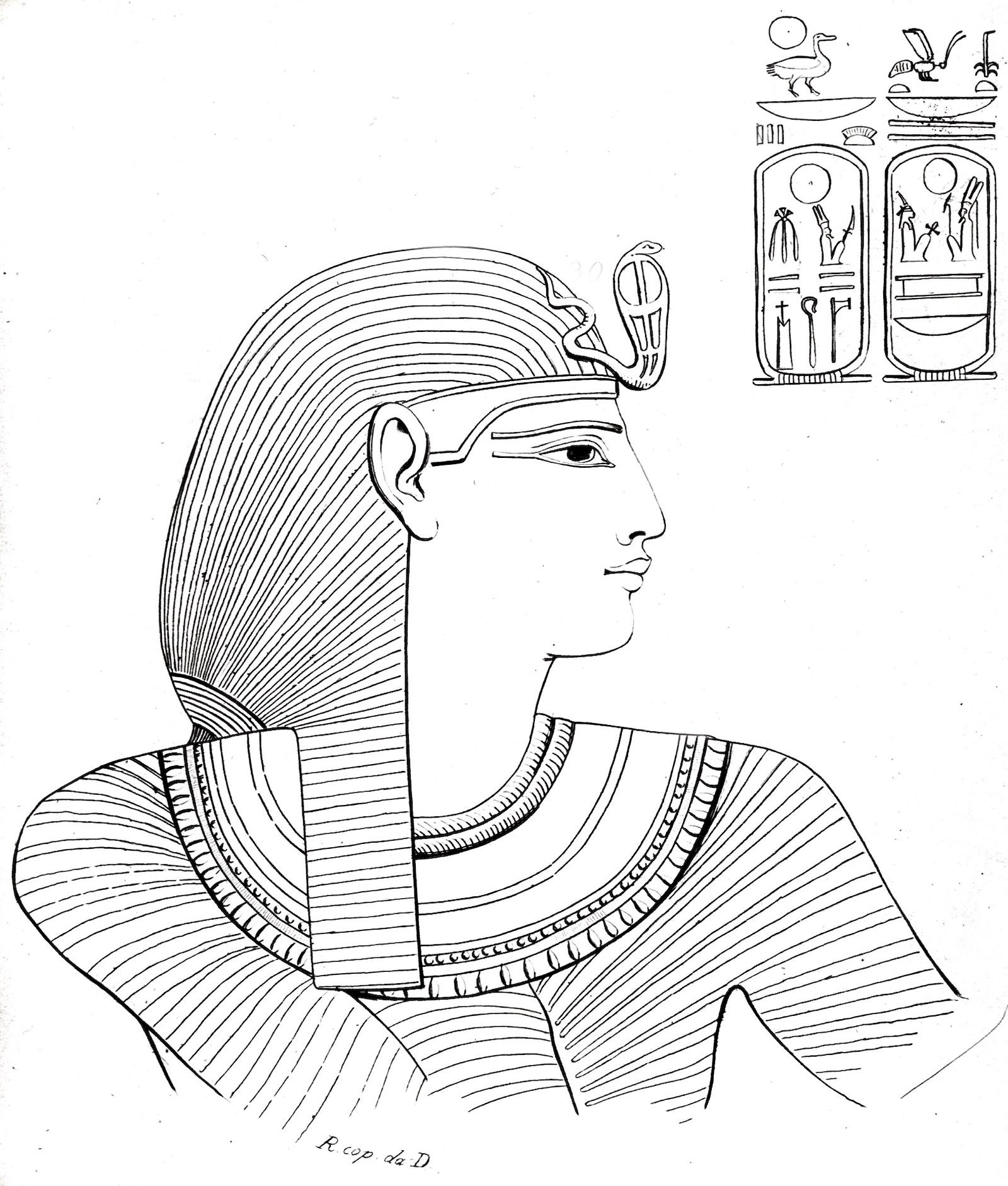 16537.jpg