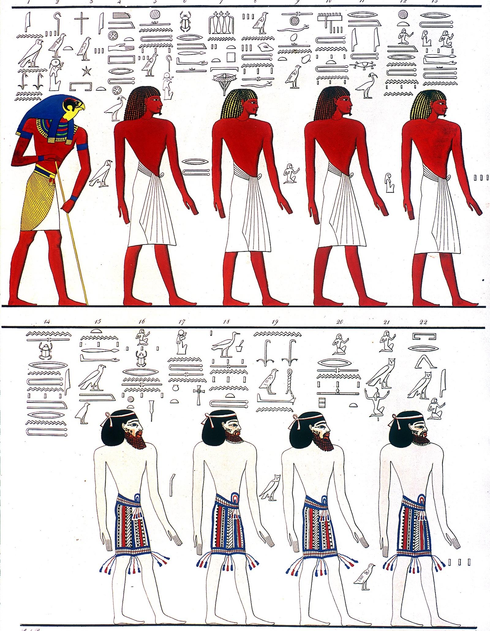 16544.jpg