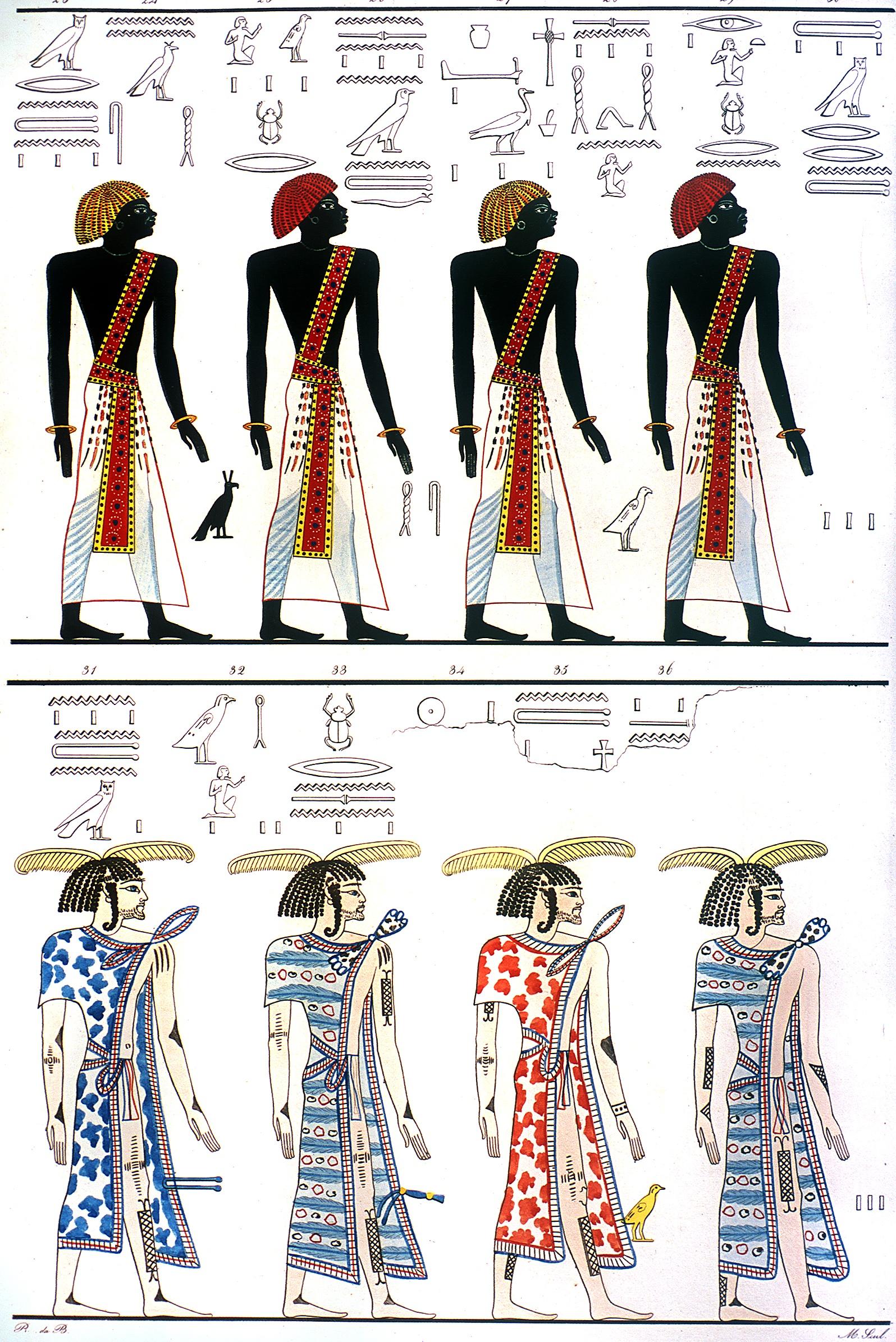 16545.jpg