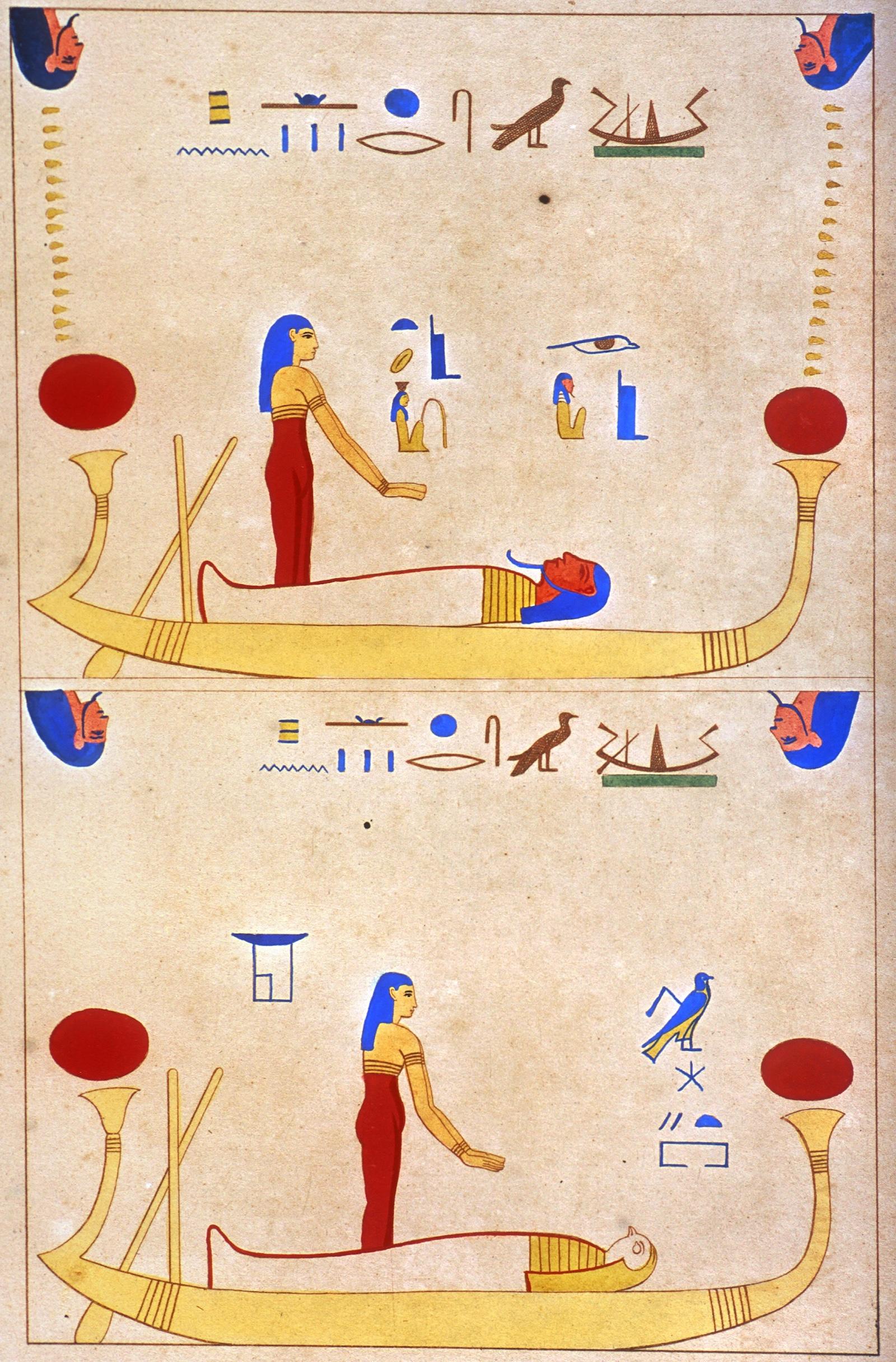 16563.jpg