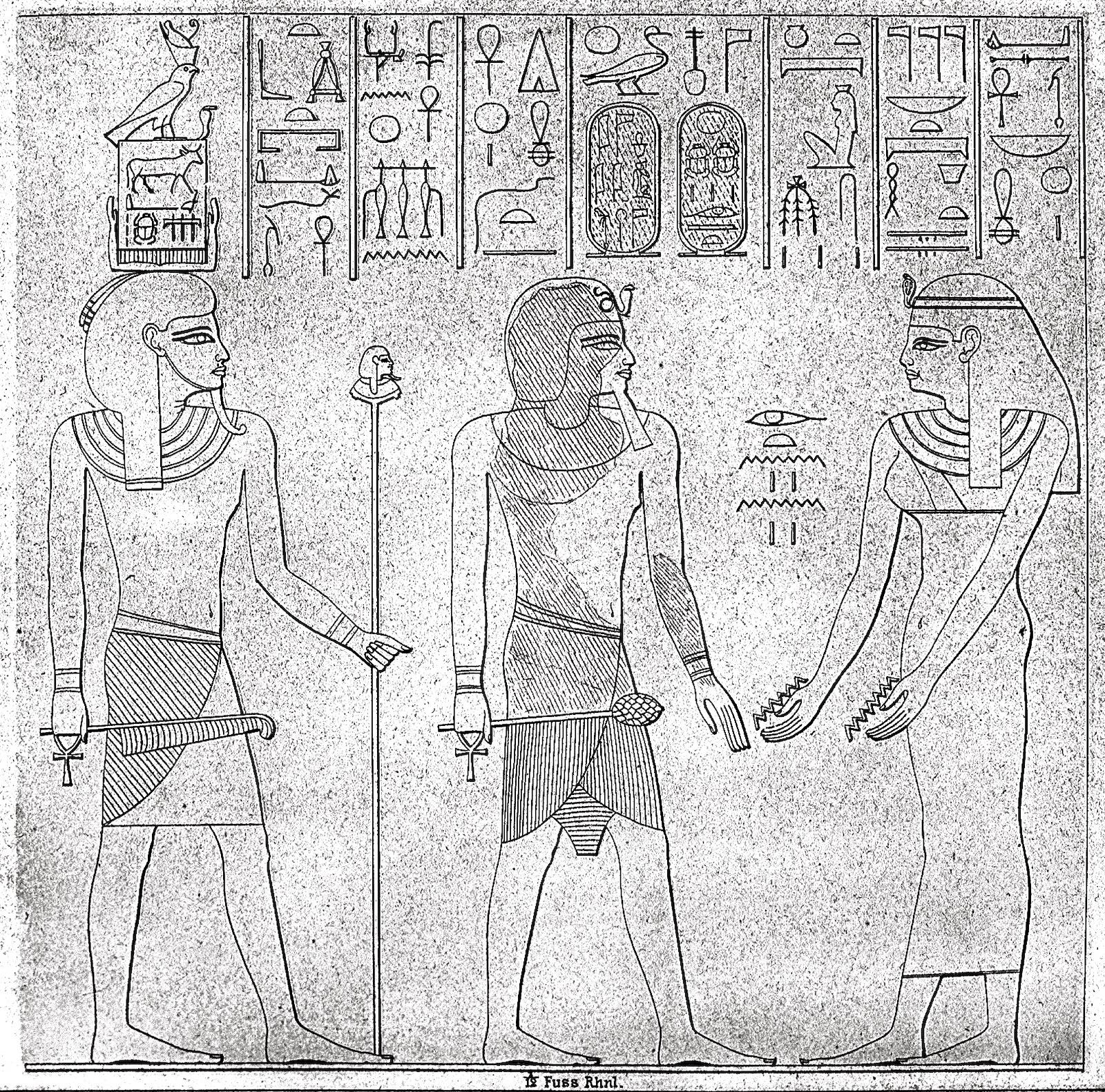 16594.jpg
