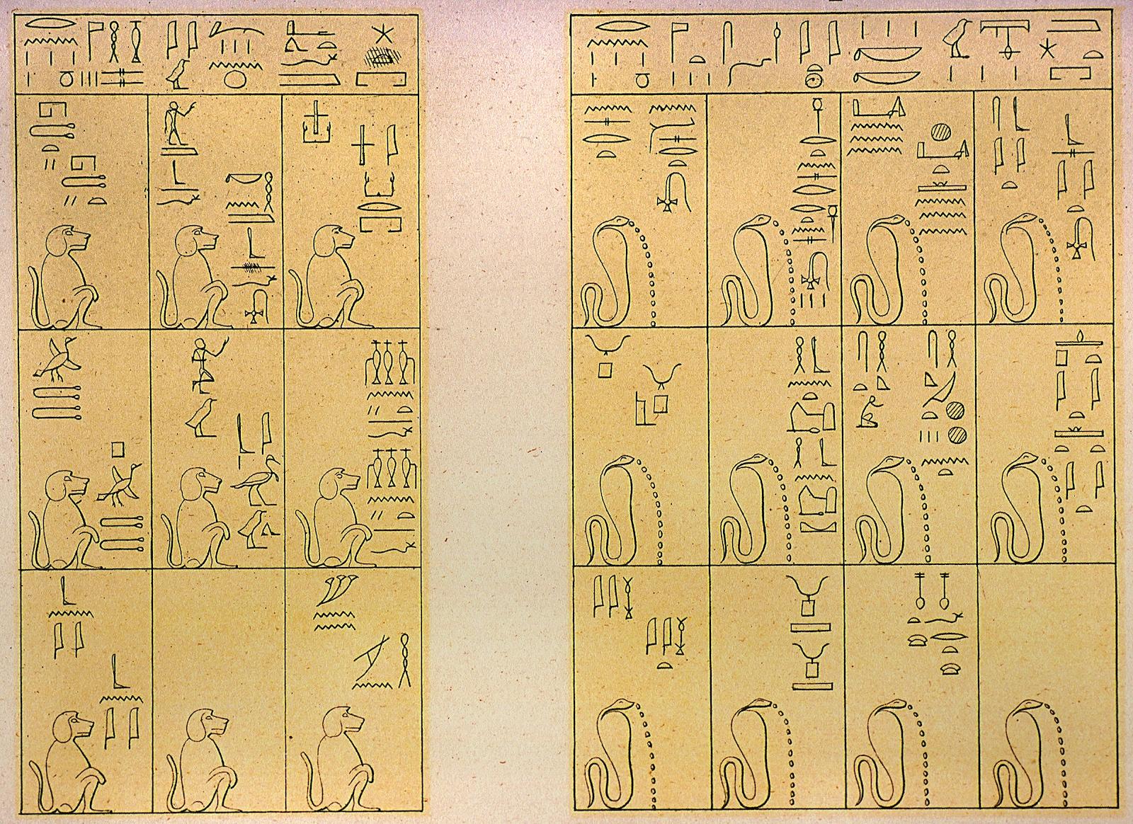16606.jpg