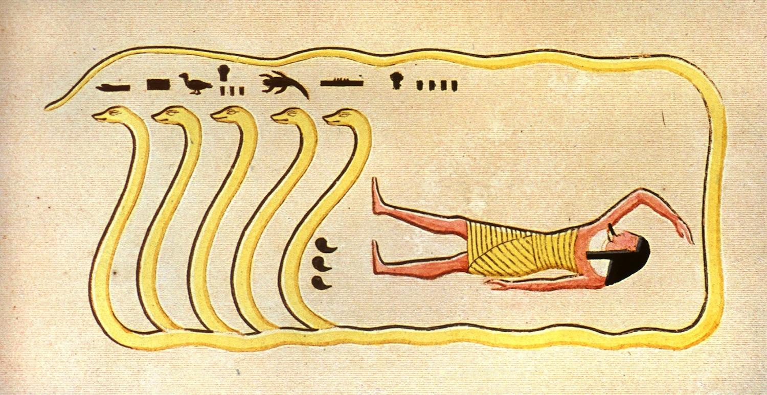 16780.jpg
