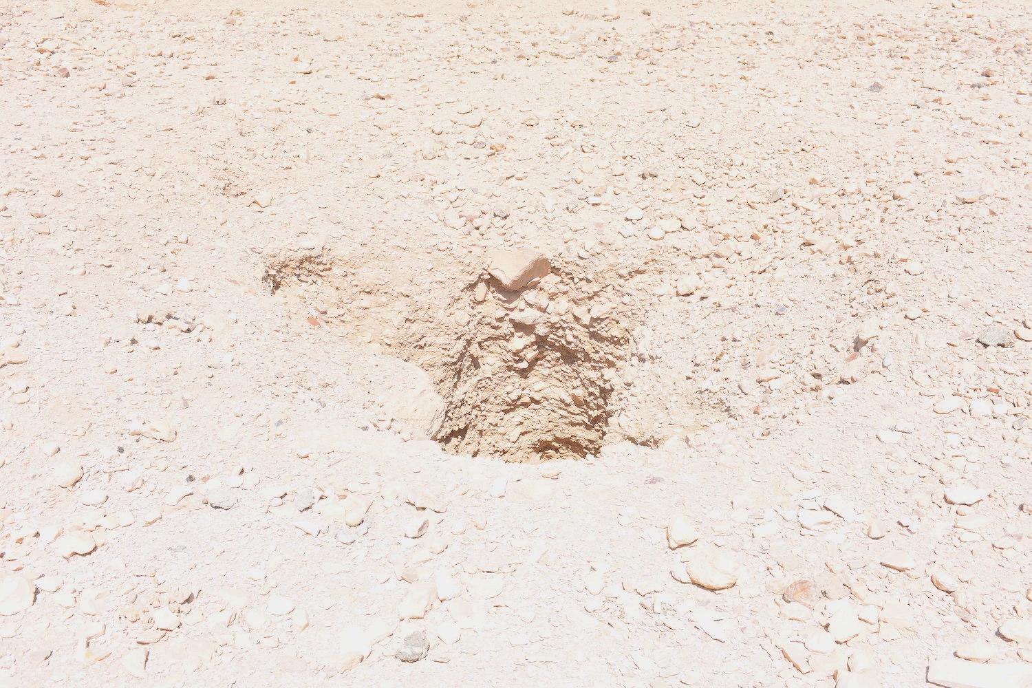ARCE/VOQ.01136.jpg