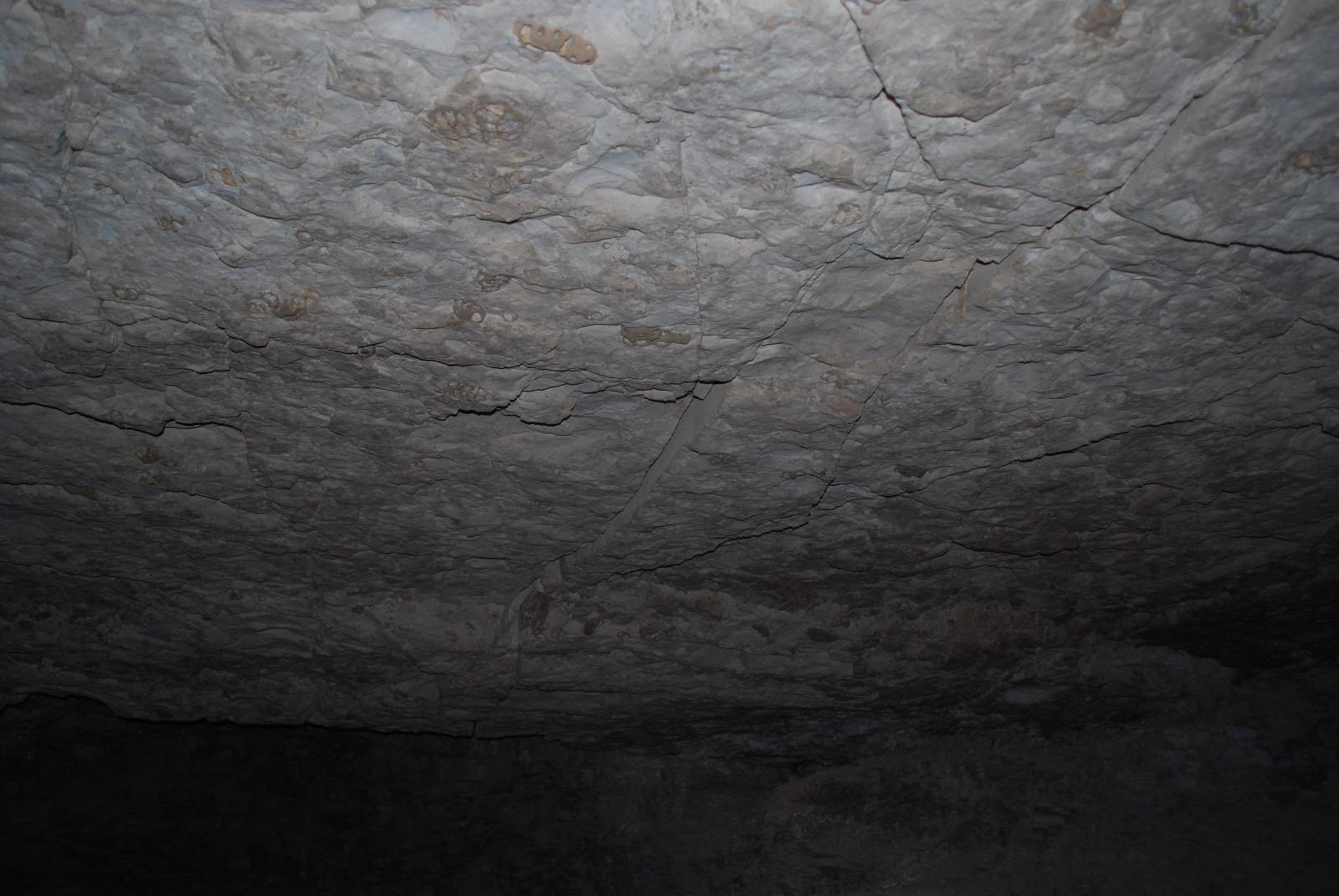 GCI/VOQ.00091.jpg