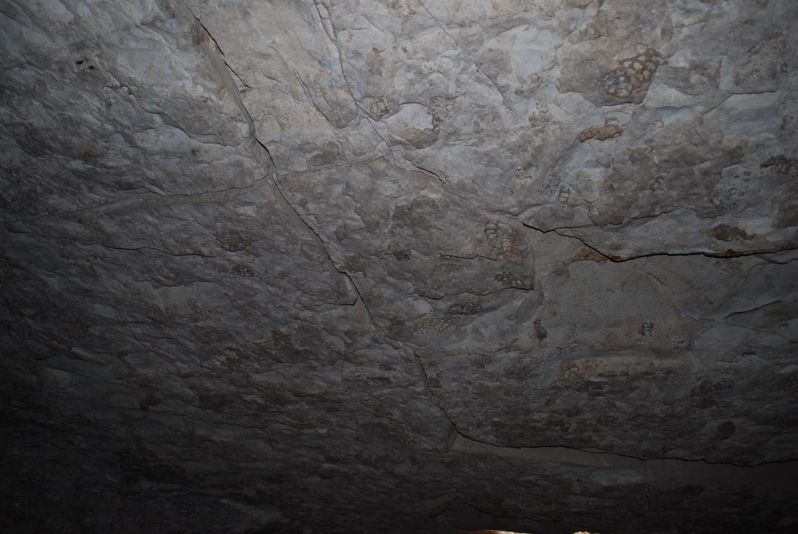 GCI/VOQ.00092.jpg