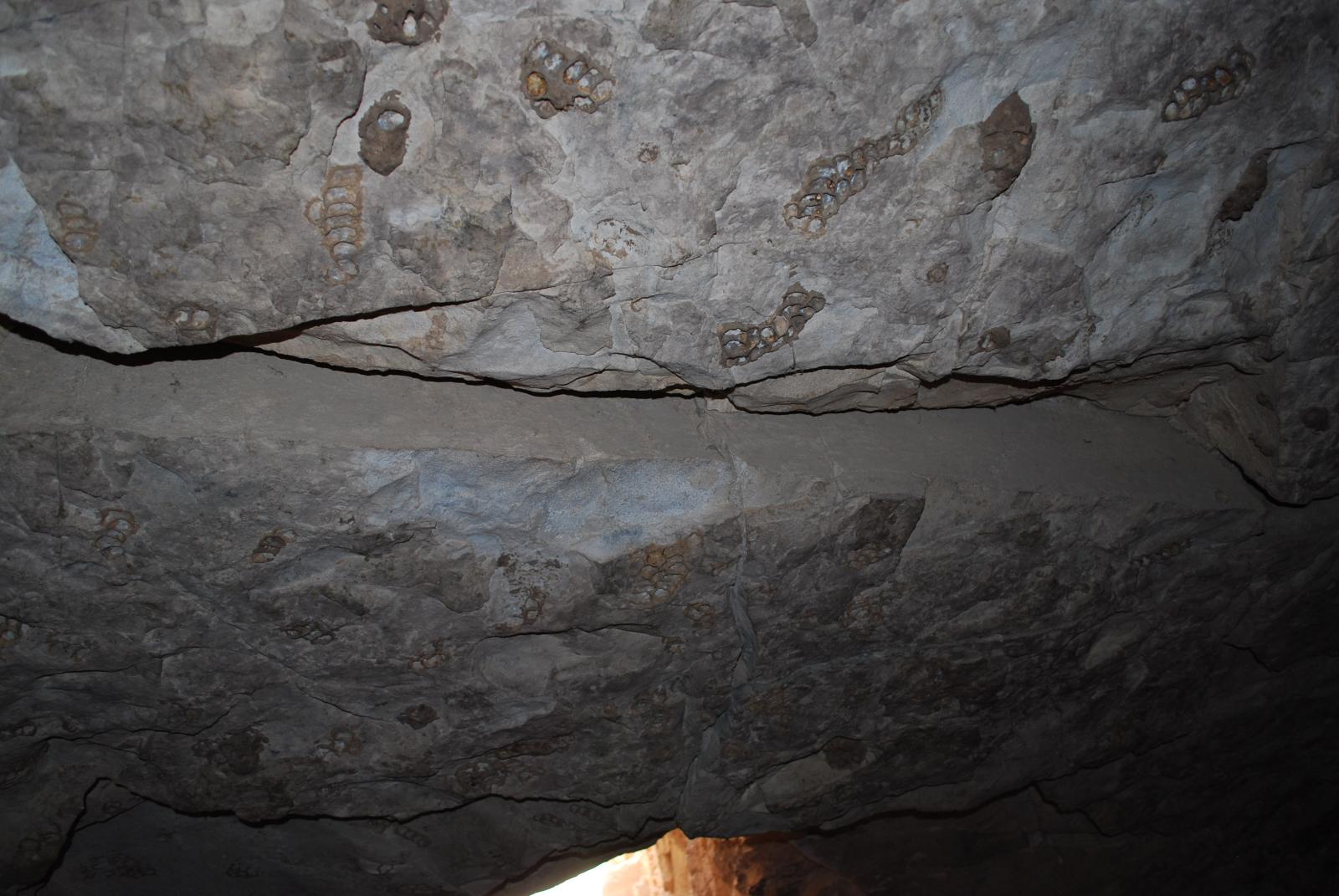 GCI/VOQ.00096.jpg