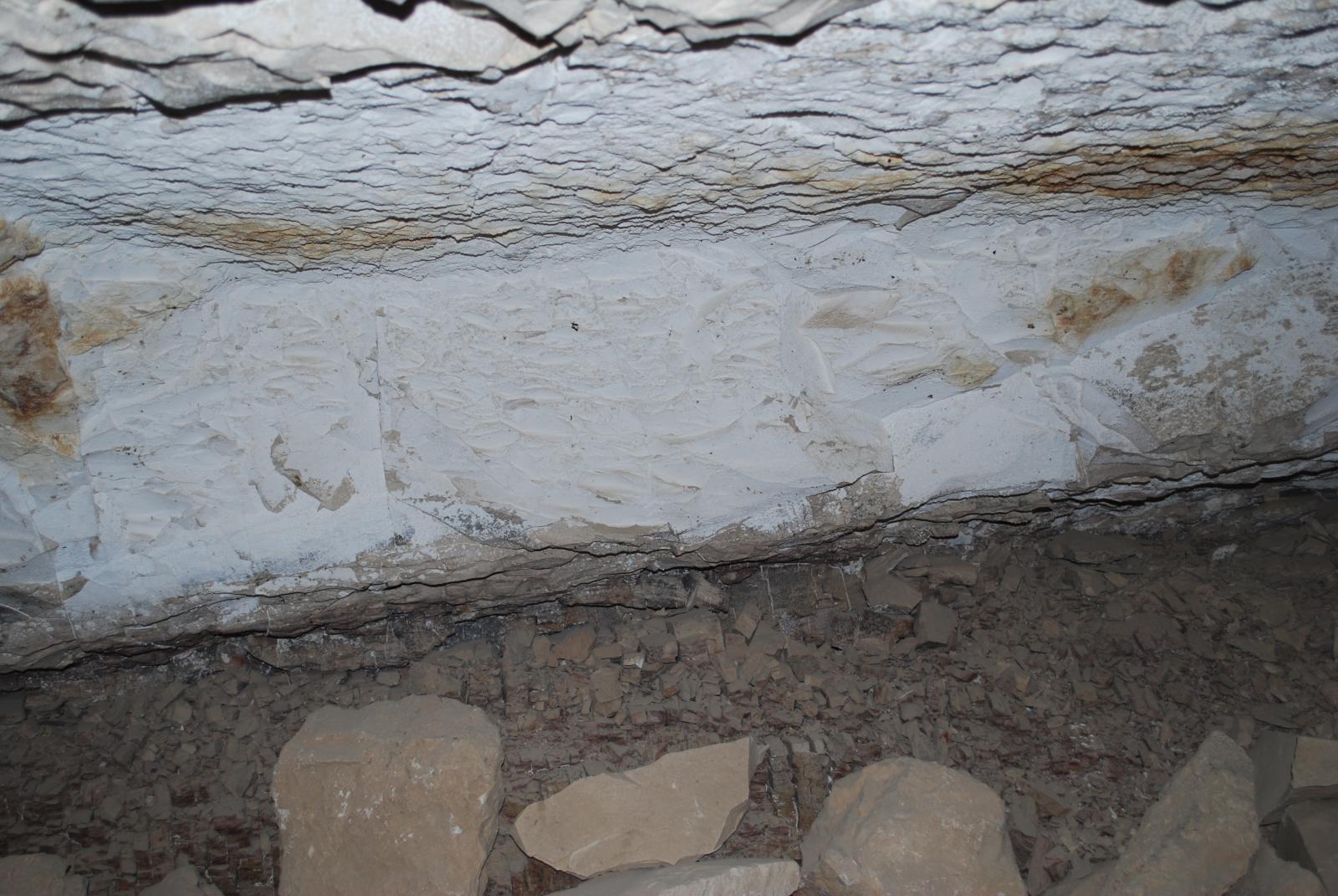 GCI/VOQ.00174.jpg
