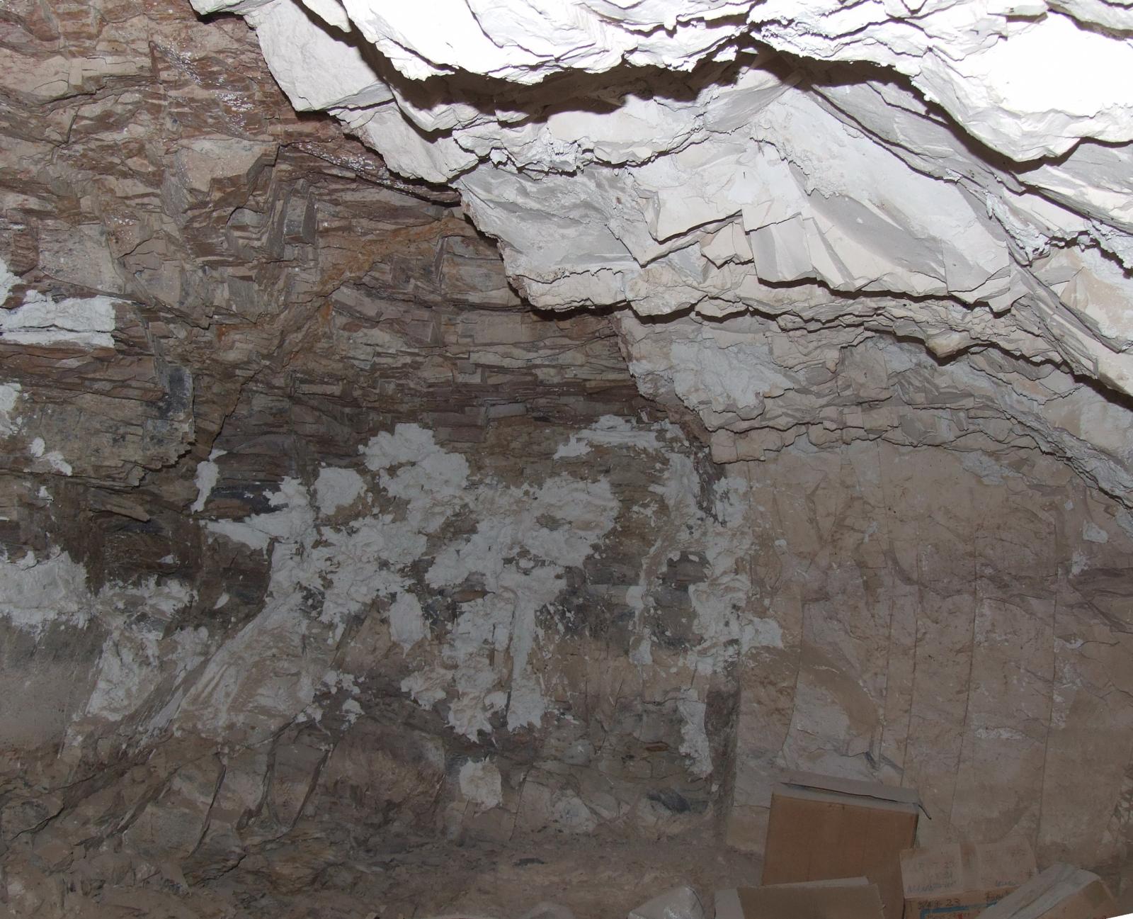 GCI/VOQ.00181.jpg