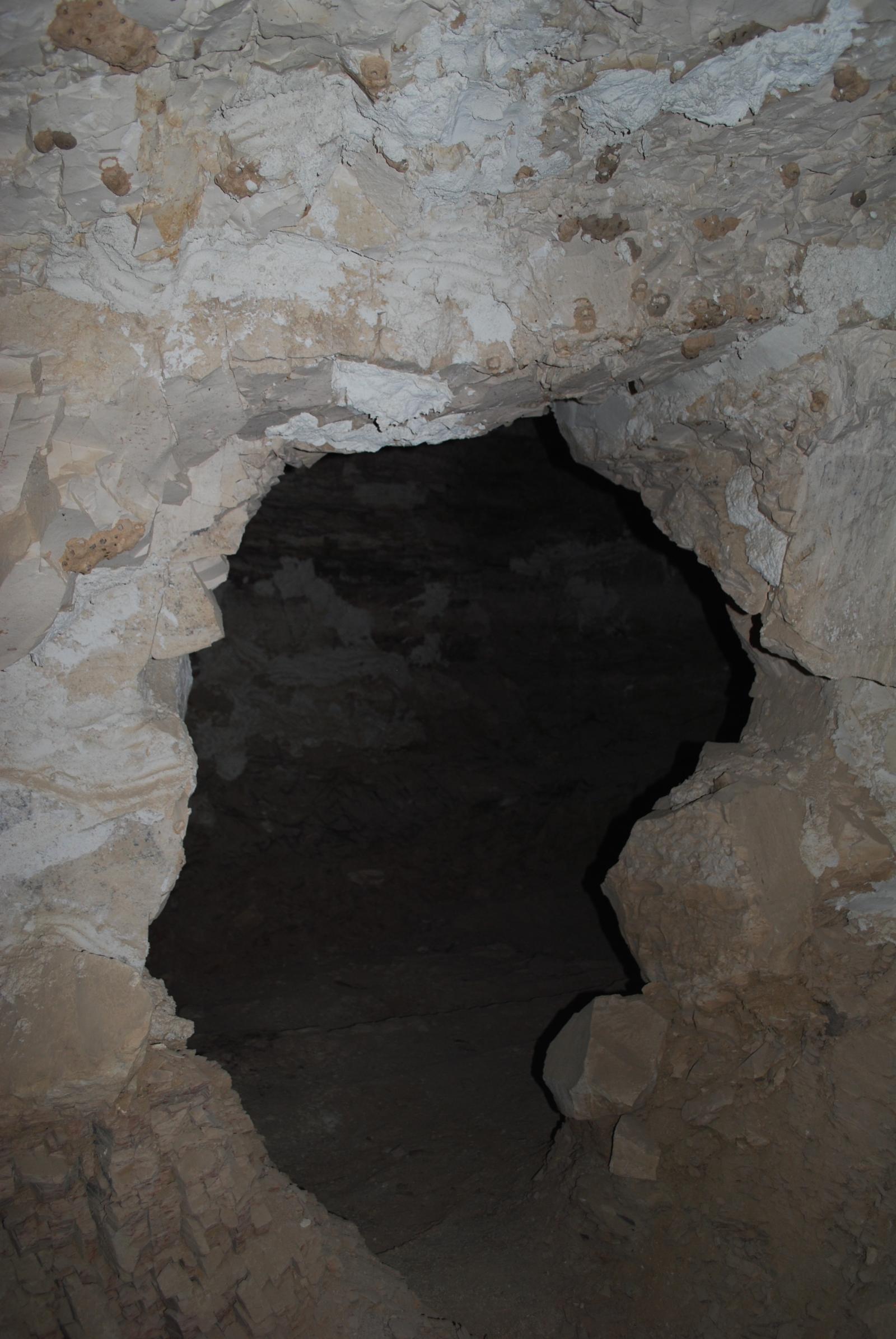 GCI/VOQ.00182.jpg