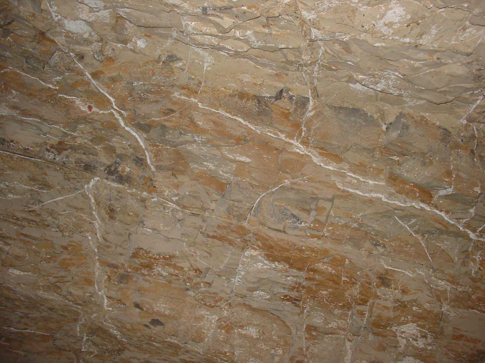 GCI/VOQ.00215.jpg