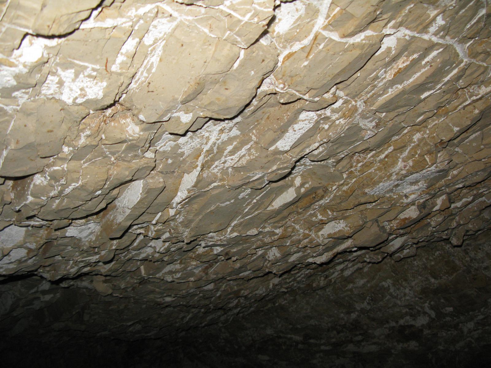 GCI/VOQ.00243.jpg