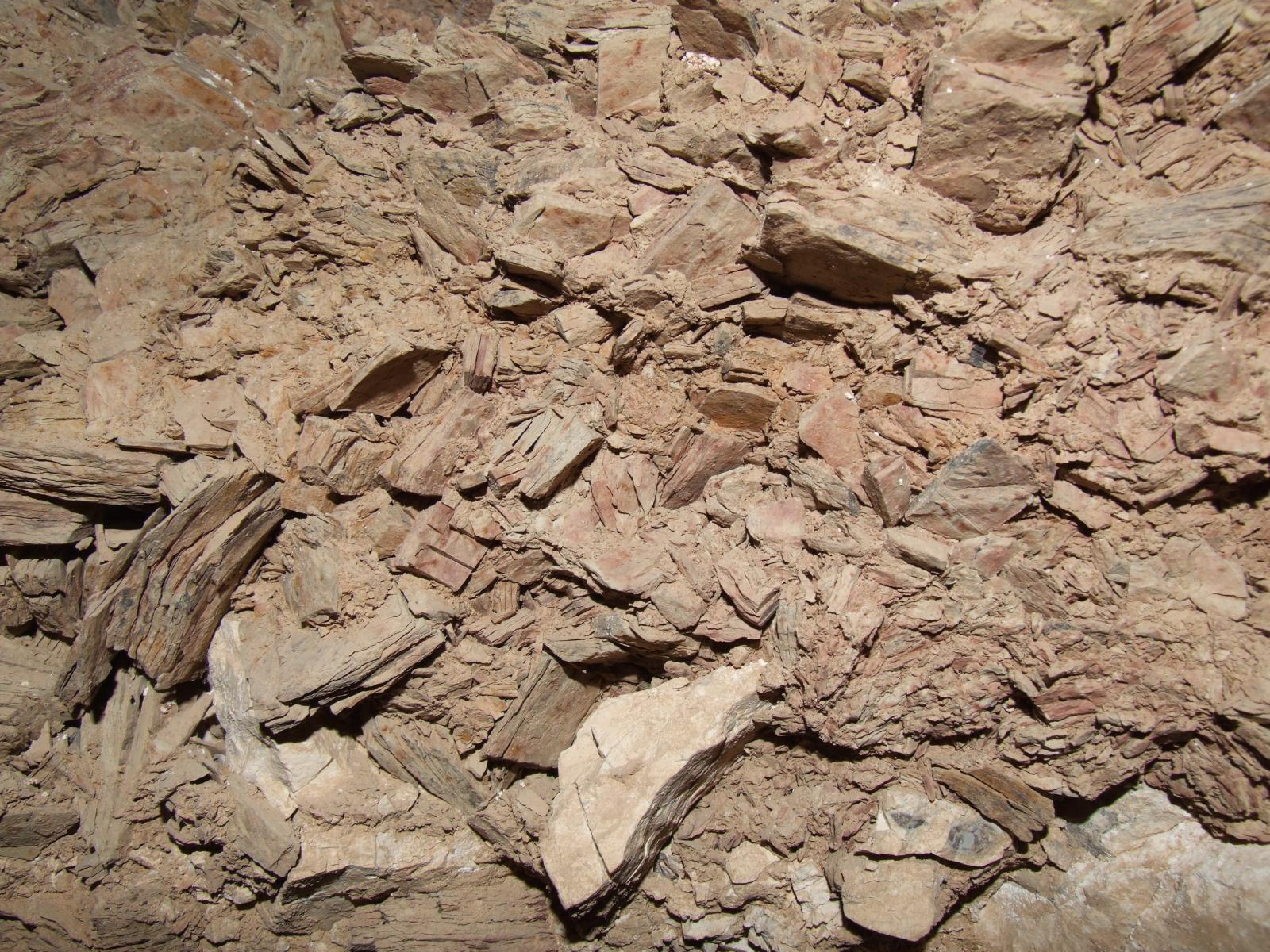 GCI/VOQ.00254.jpg