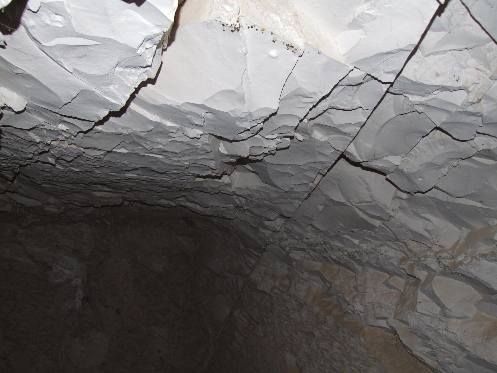 GCI/VOQ.00259.jpg