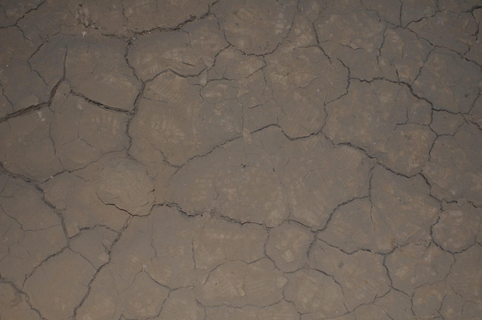 GCI/VOQ.00264.jpg