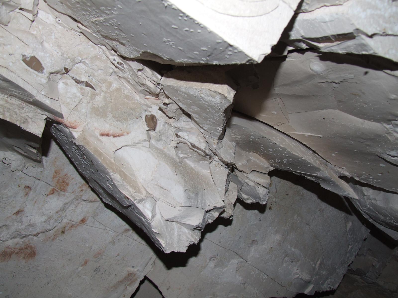 GCI/VOQ.00294.jpg