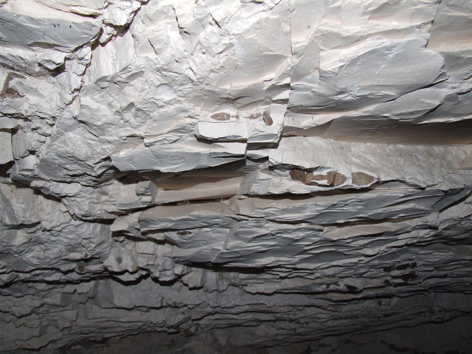 GCI/VOQ.00299.jpg