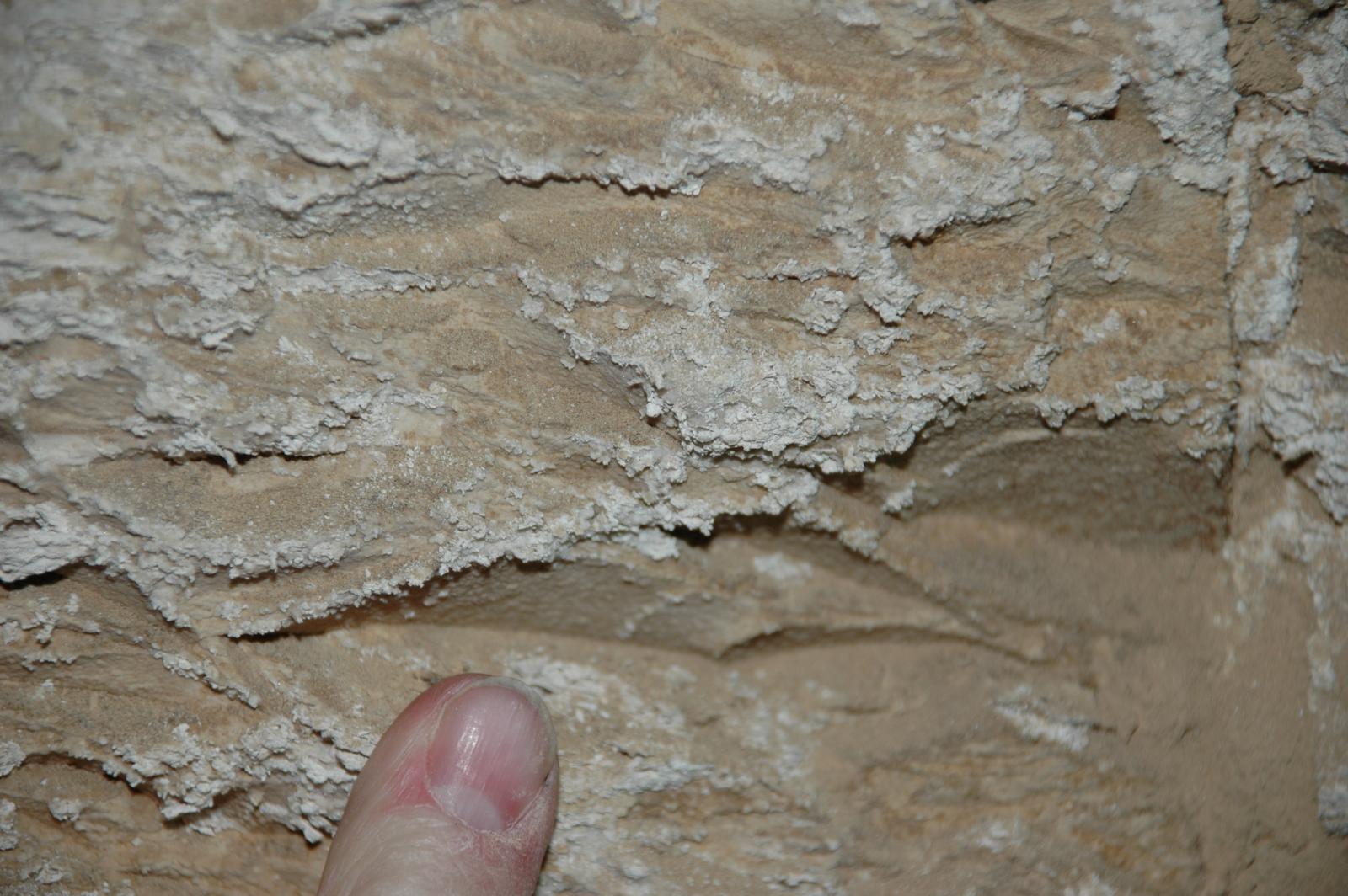 GCI/VOQ.00312.jpg
