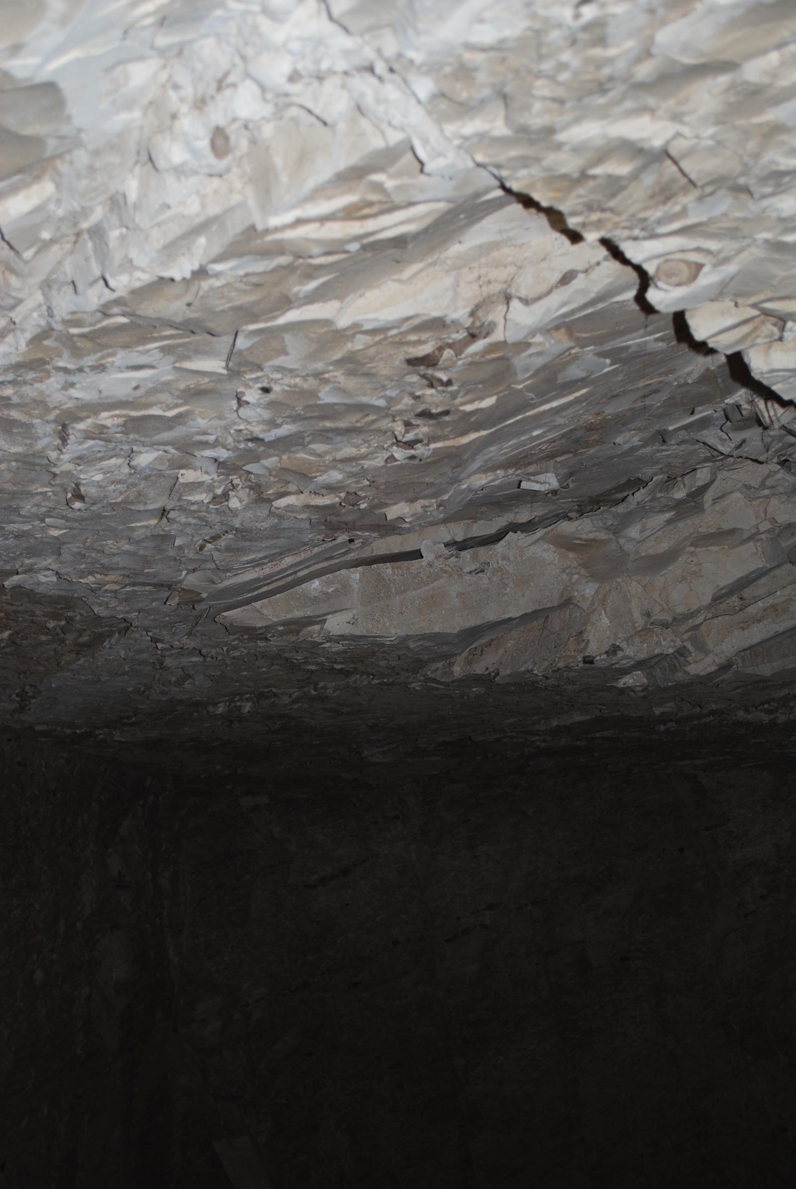 GCI/VOQ.00316.jpg
